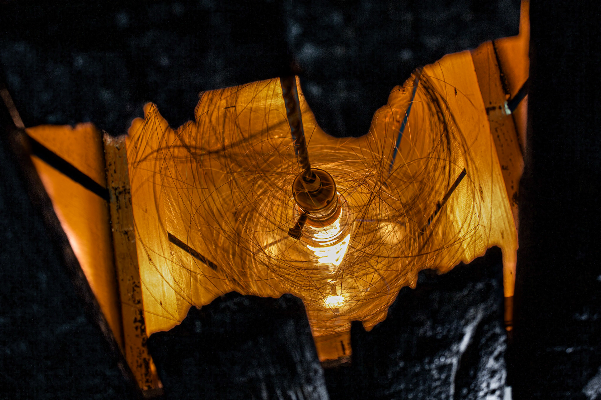 Cabin Fever (detail)