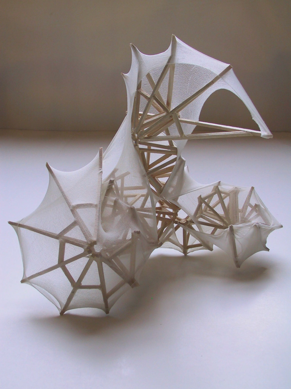 3D I - Wood & Nylon structure 