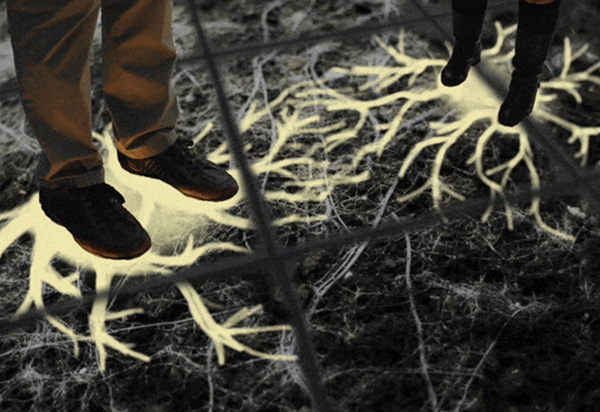 Animation still showing LED people connecting roots