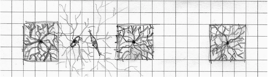 Plan view of Granary Square - two humans stand still between trees to visualise their feet growing roots to connect isolated tree wells