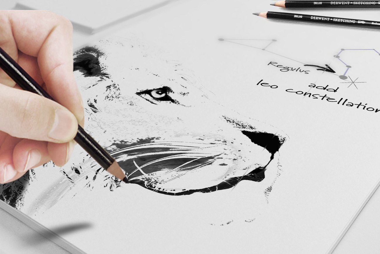 Lion Sketch
