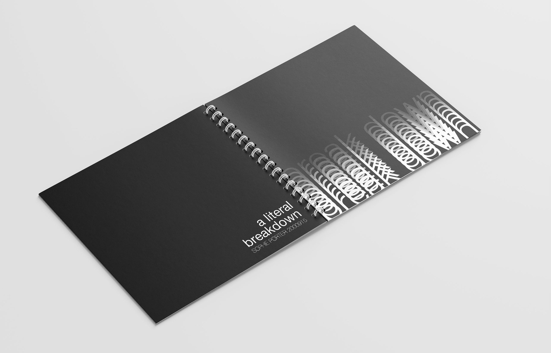 Front and Back covers of the journal