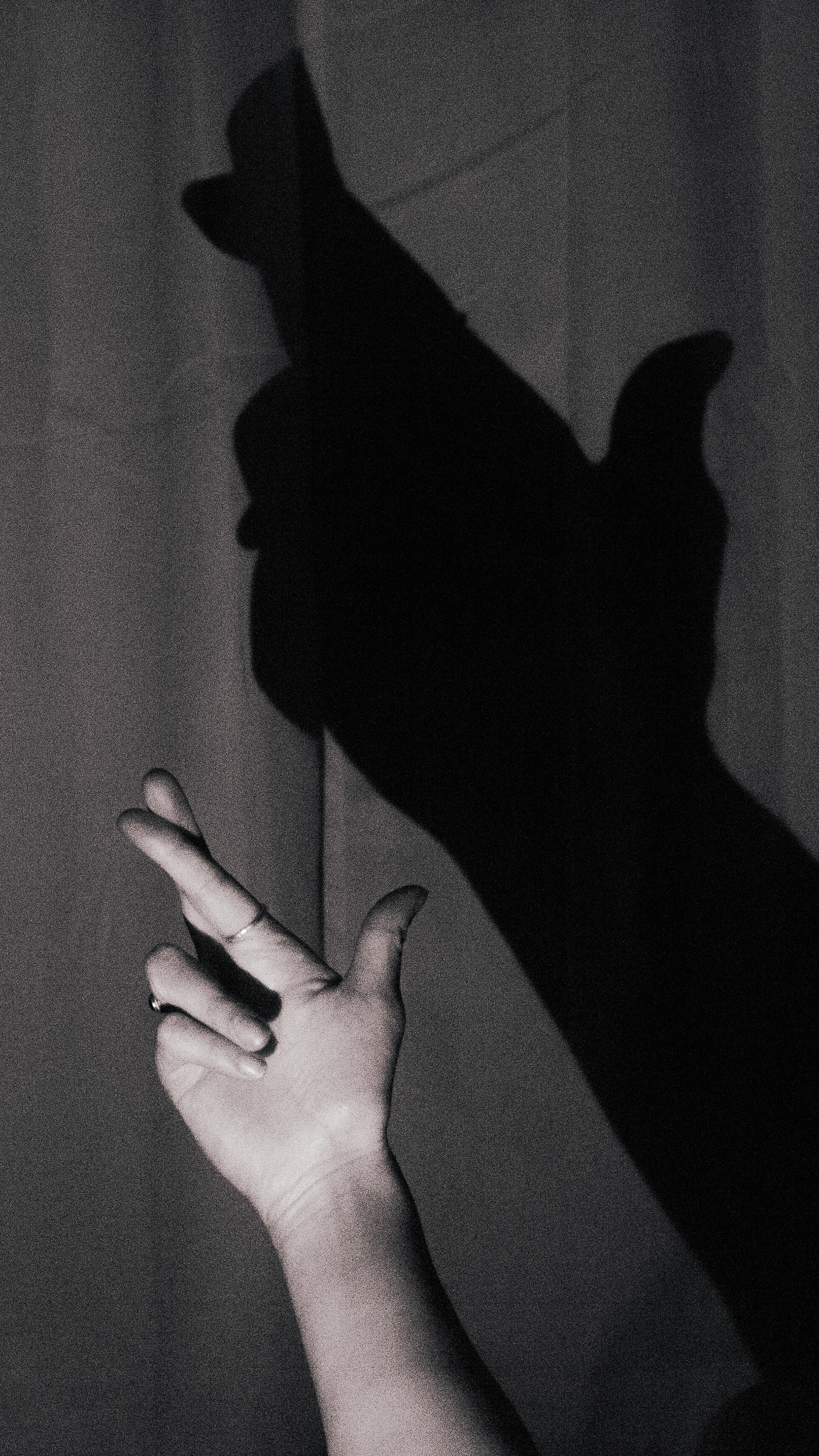 Fingers Crossed - DSLR - 06/25/25