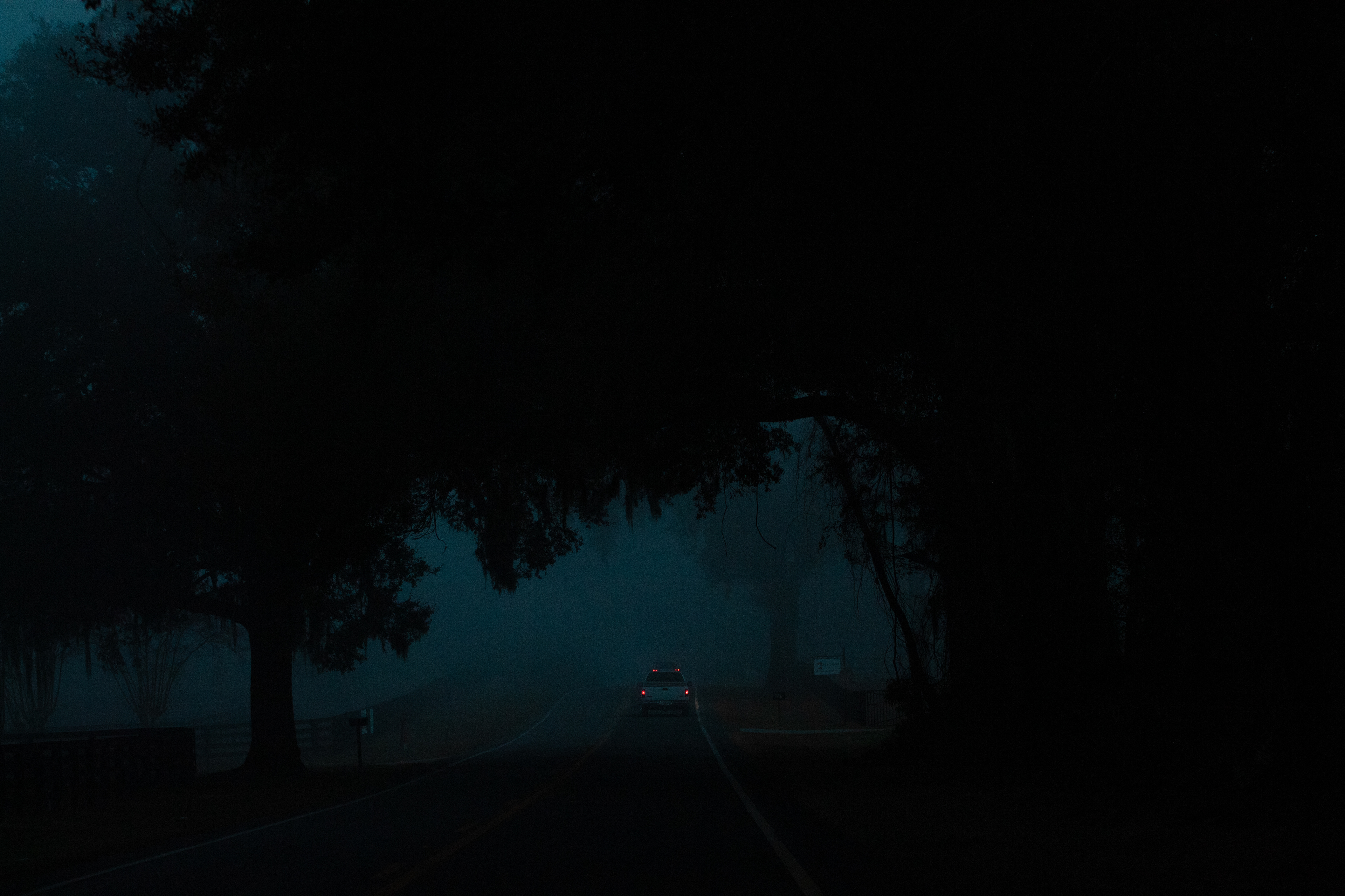 Down South - DSLR - 02/02/25