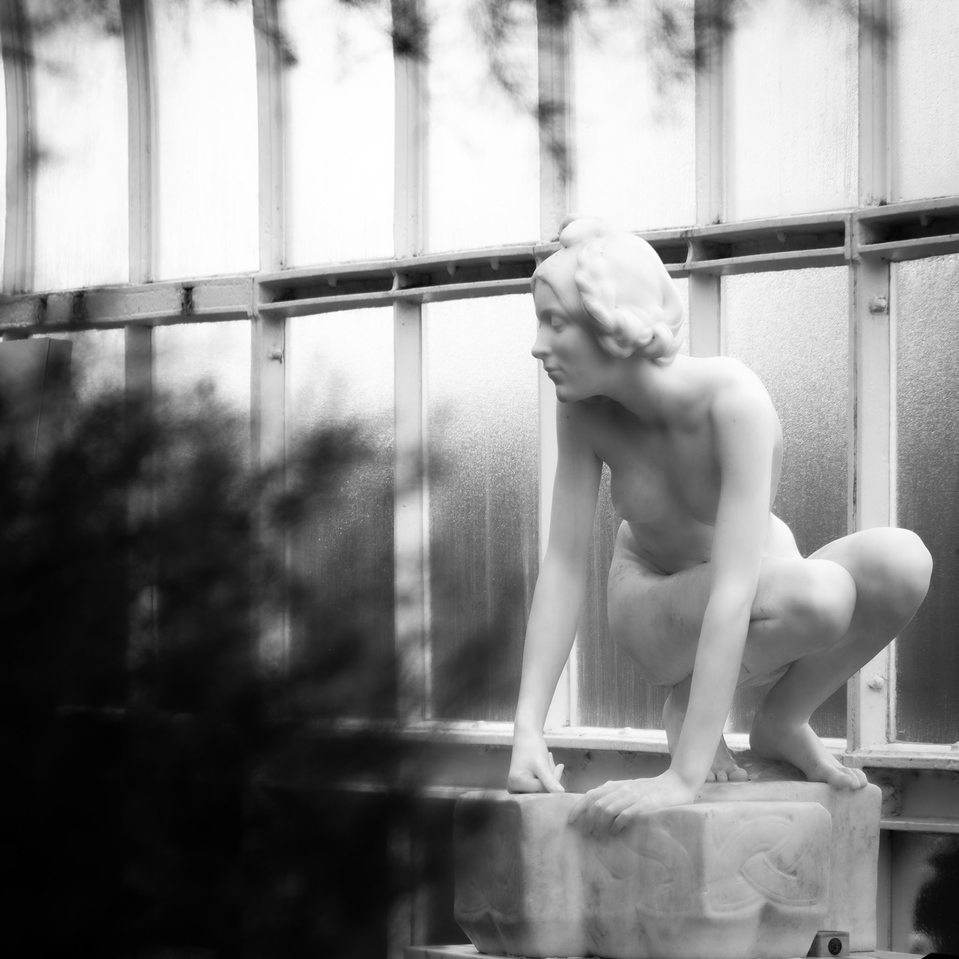 Lady in botanical gradients