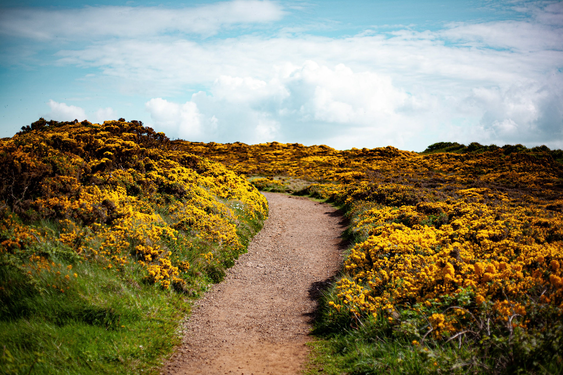 Giant's Causeway - Northern Ireland