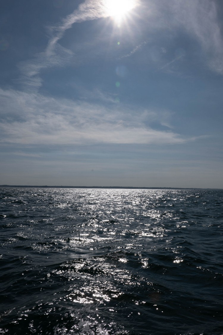 © Jean-Christophe COINDRE