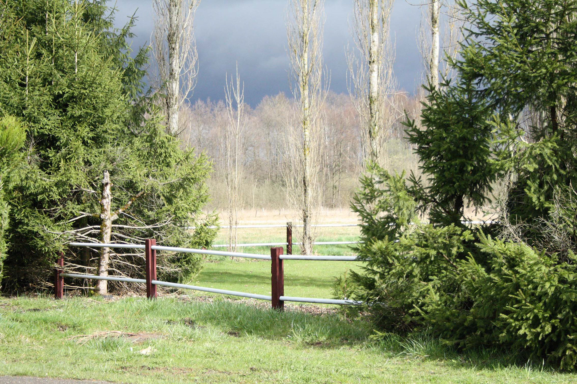 © Martine BOUFFETEAU