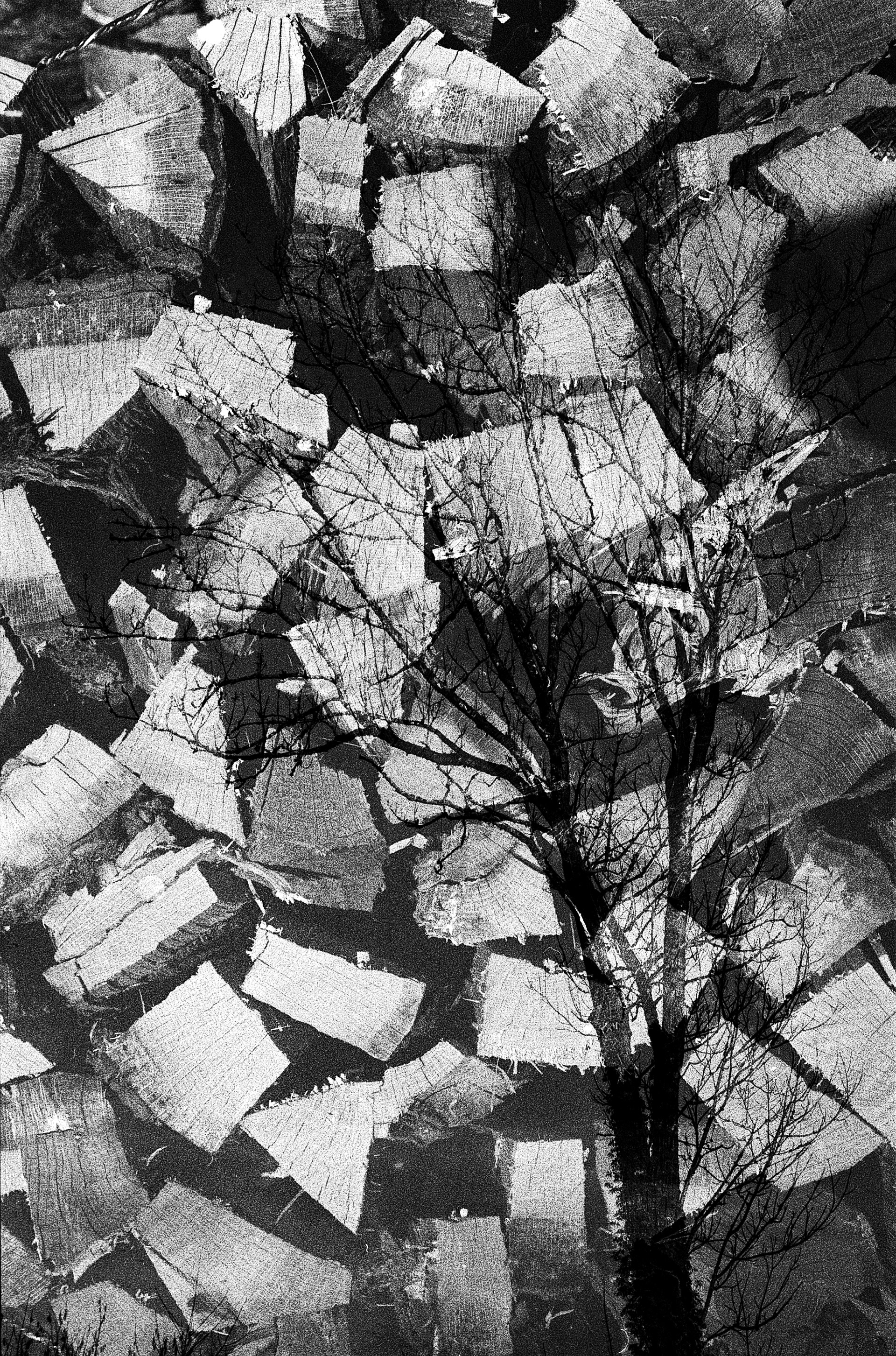 © Stephane HUGUEL