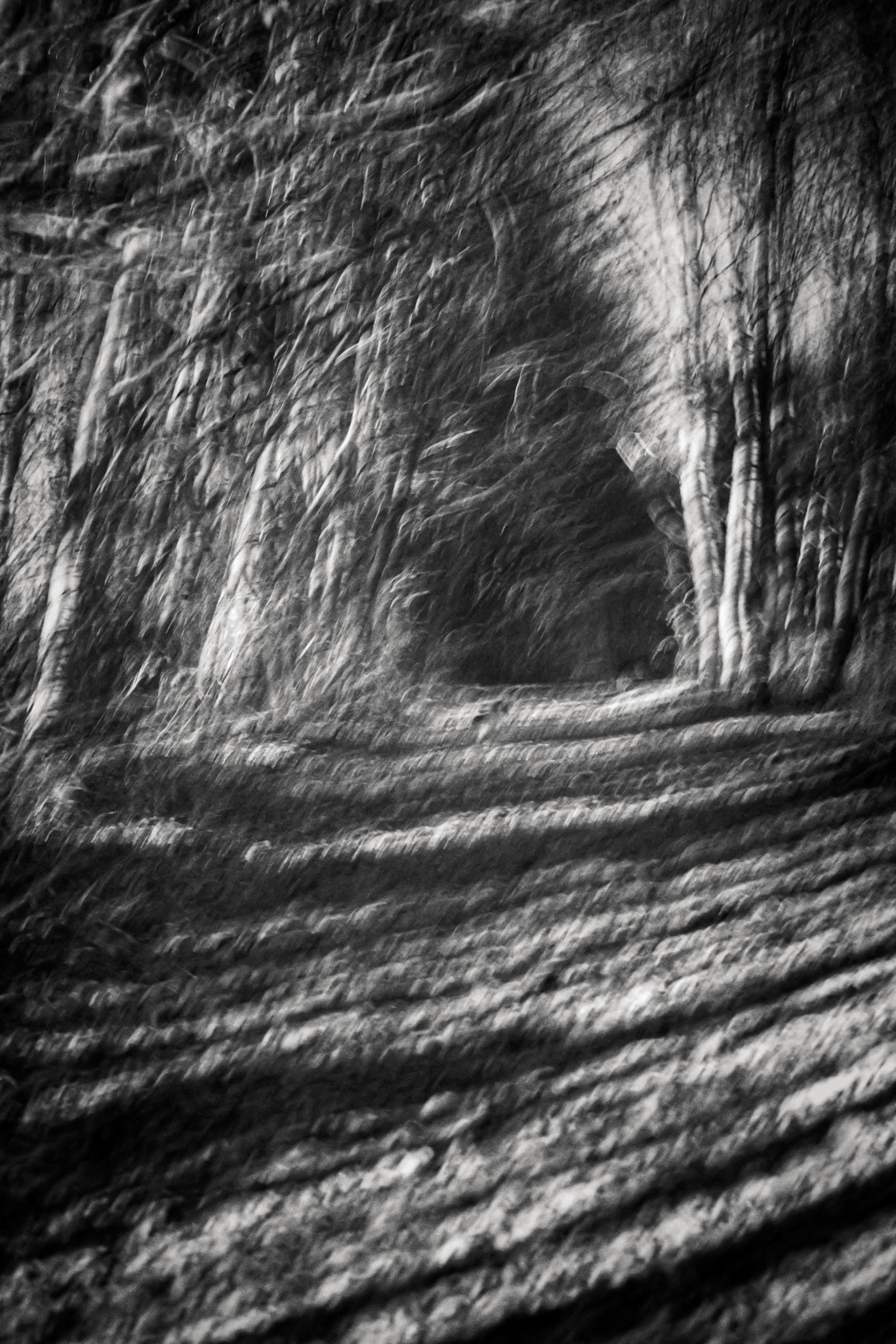 ©Thibaut FLORENCE