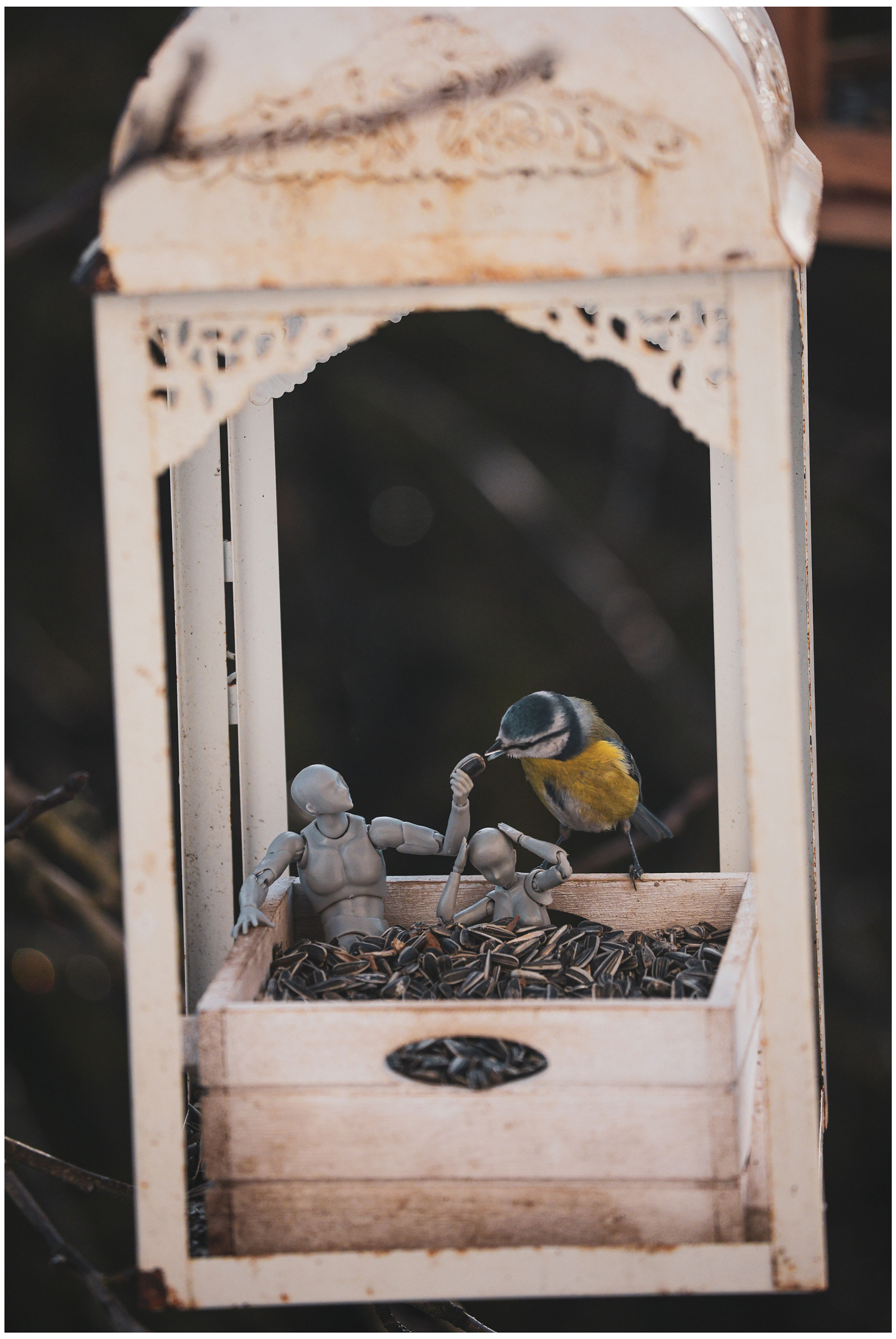 © Thibaut FLORENCE
