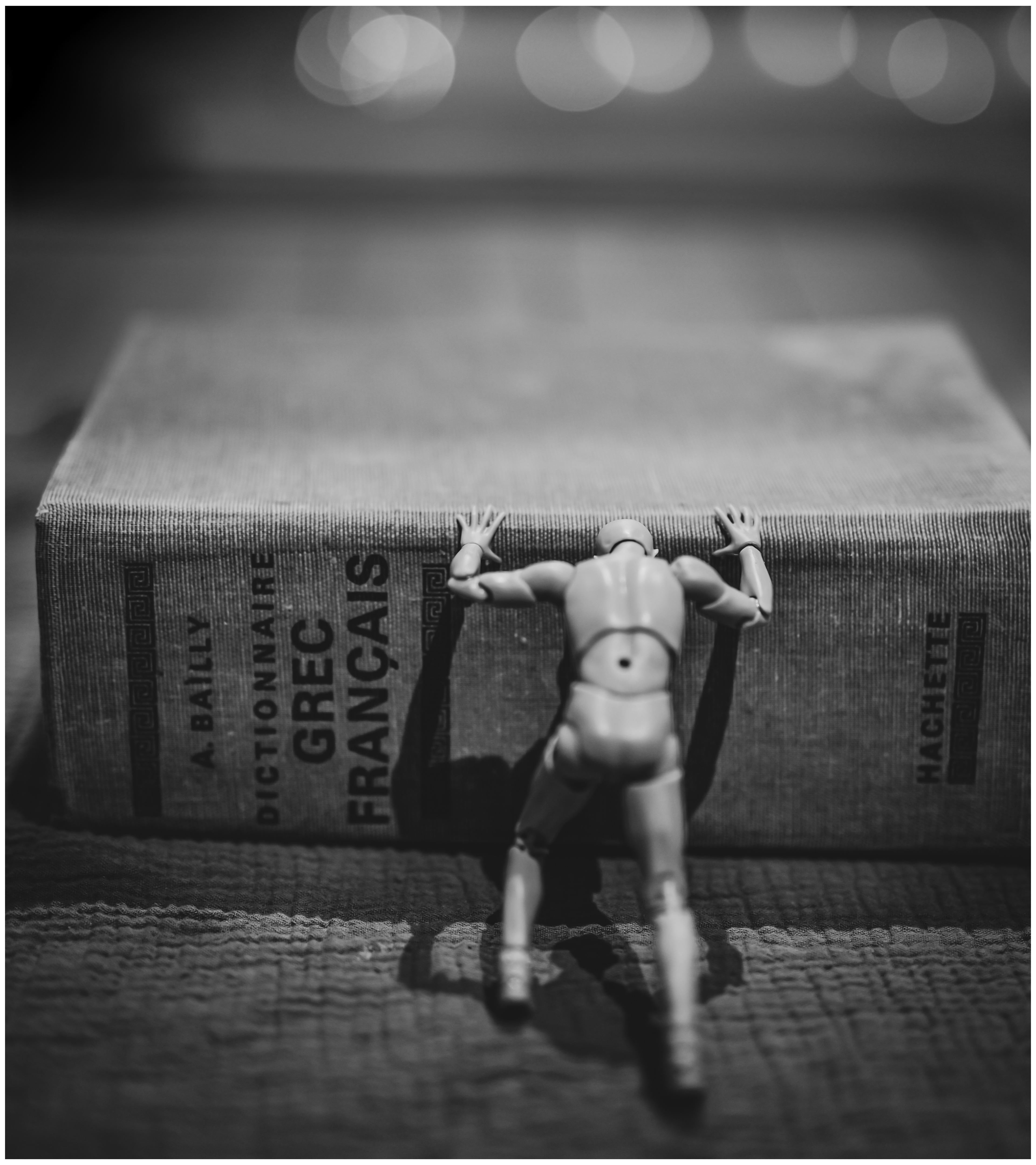 © Thibaut FLORENCE