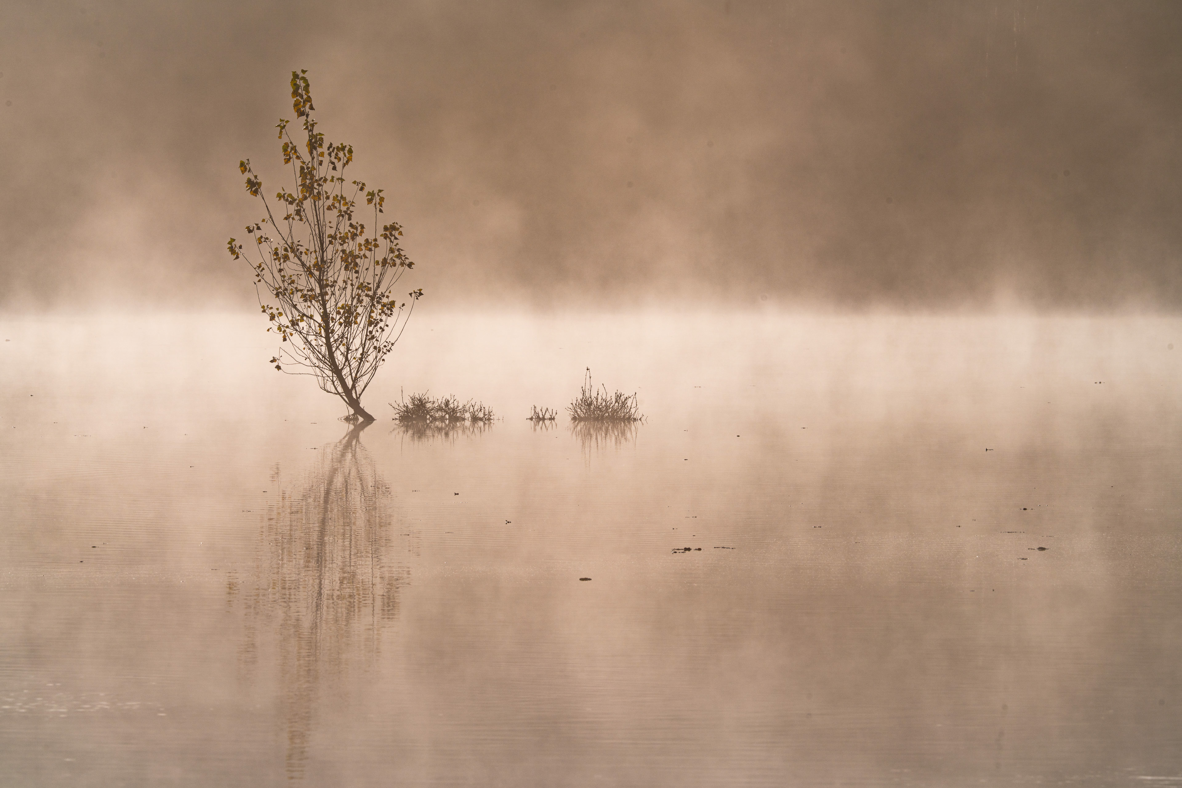 © Stéphane HUGUEL