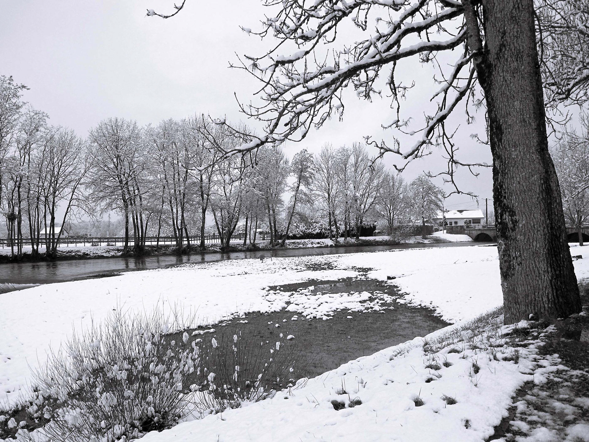 © Martine BOUFFETEAU