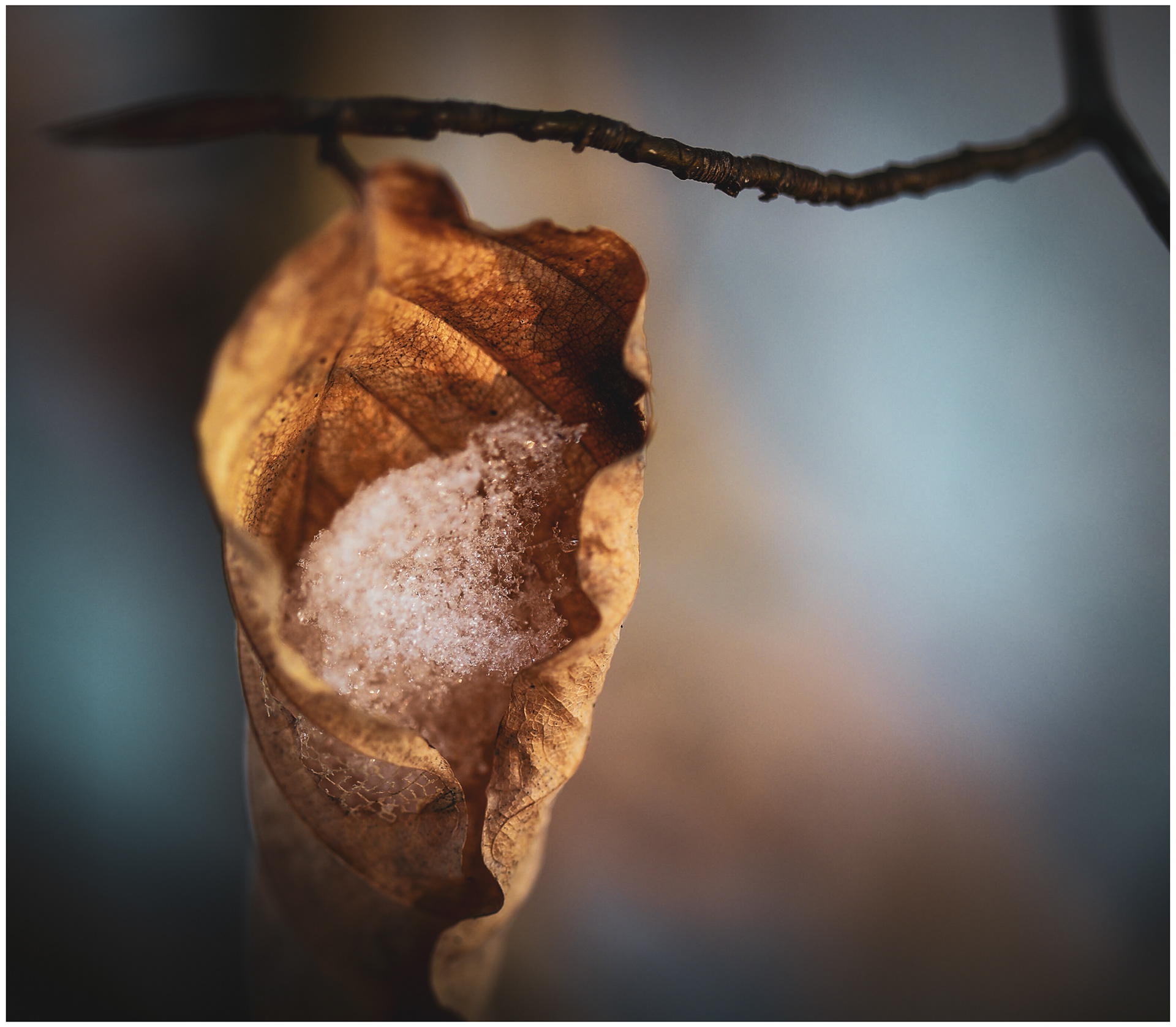 © Thibaut FLORENCE