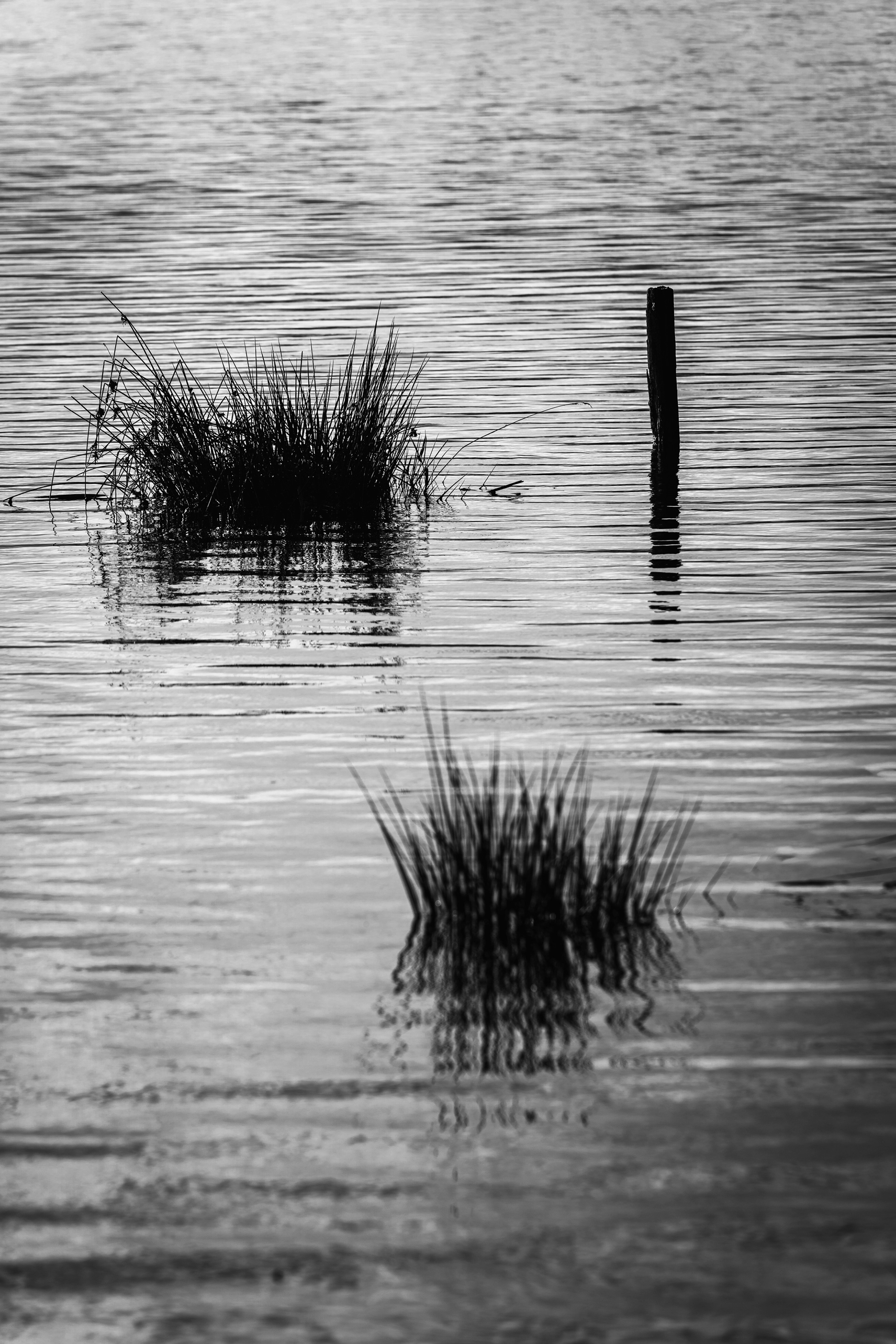 © Stephane HUGUEL