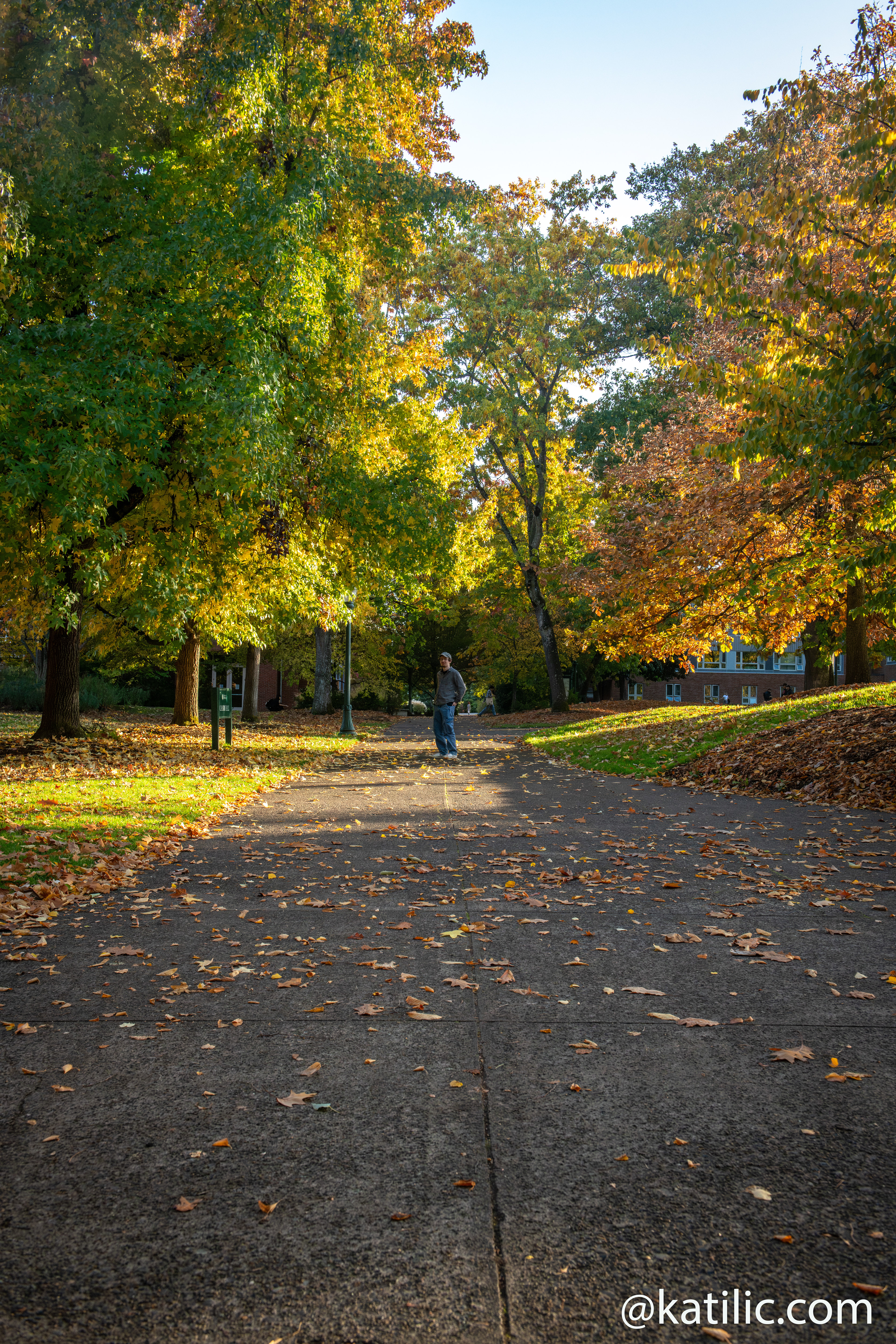 University of Oregon ~ 2025