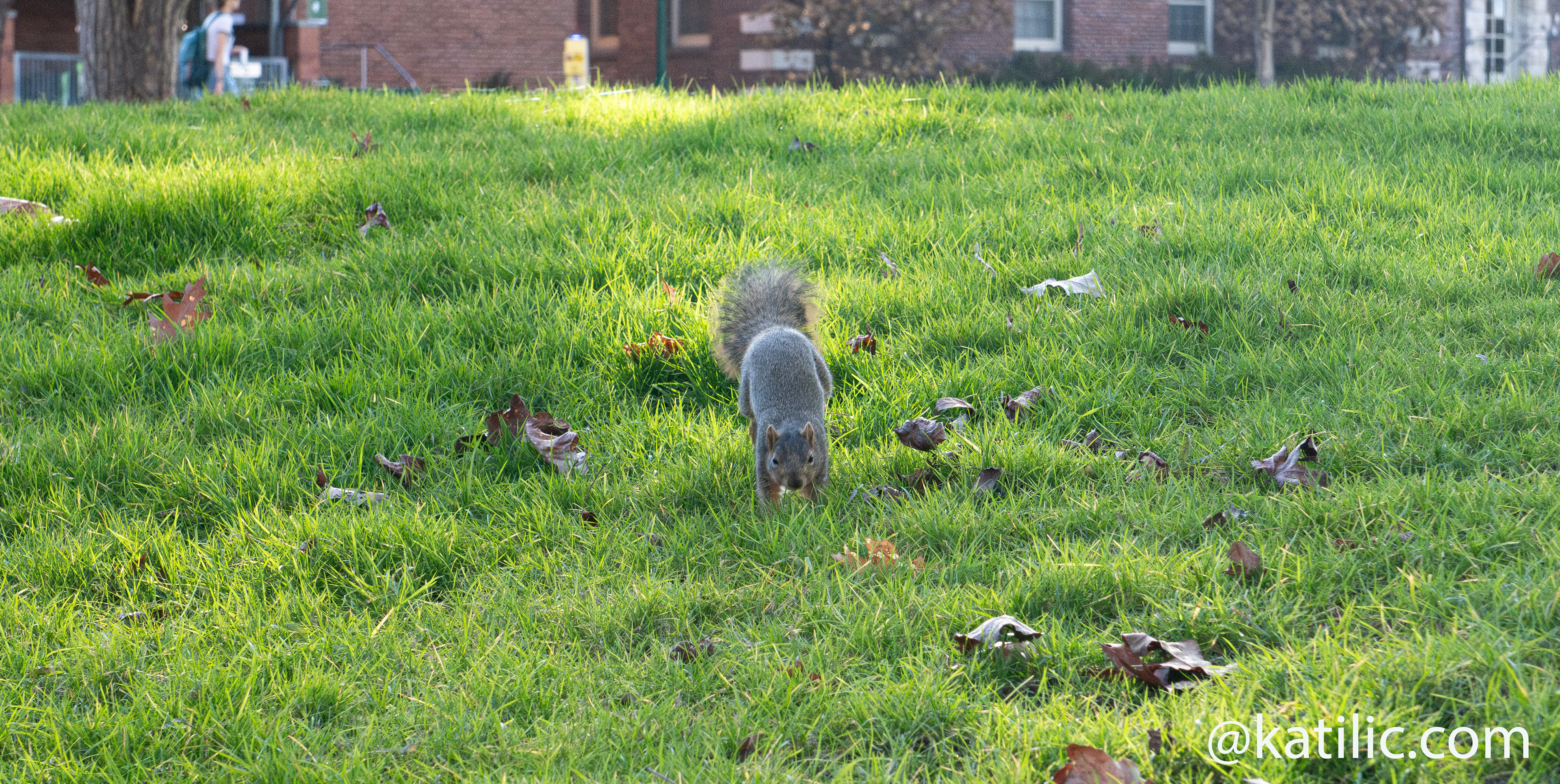 University of Oregon ~ 2026