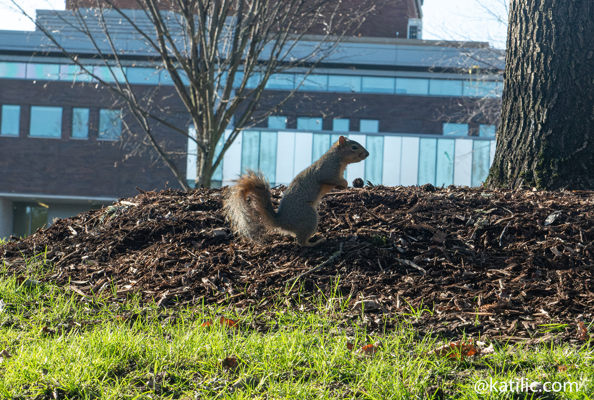 University of Oregon ~ 2026