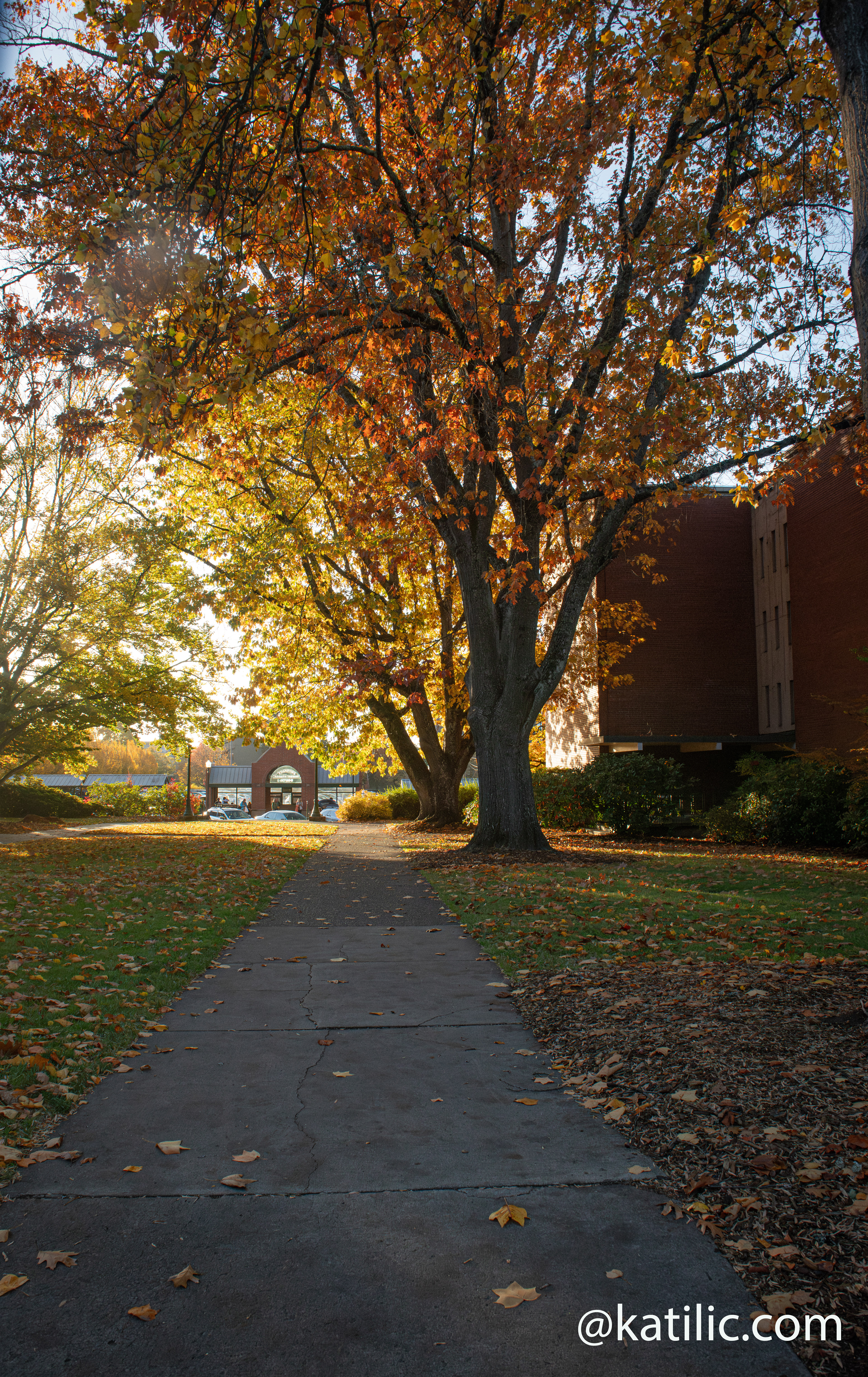 University of Oregon ~ 2025