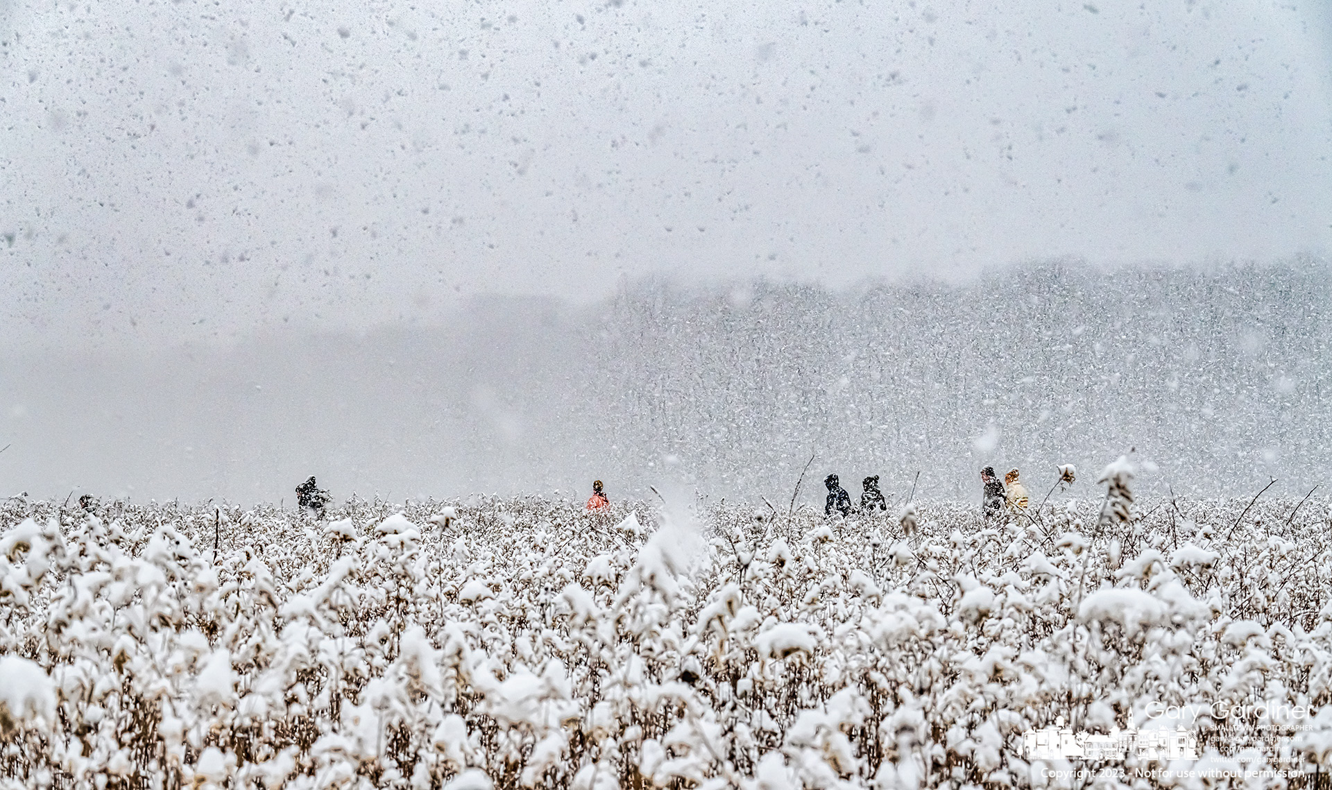 A band of intrepid walkers traverses their way through a snow-covered path through the prairie at Sharon Woods Metro Park during a Sunday morning snowfall that left several inches of white powder for their outing. My Final Photo for January 22, 2023. 