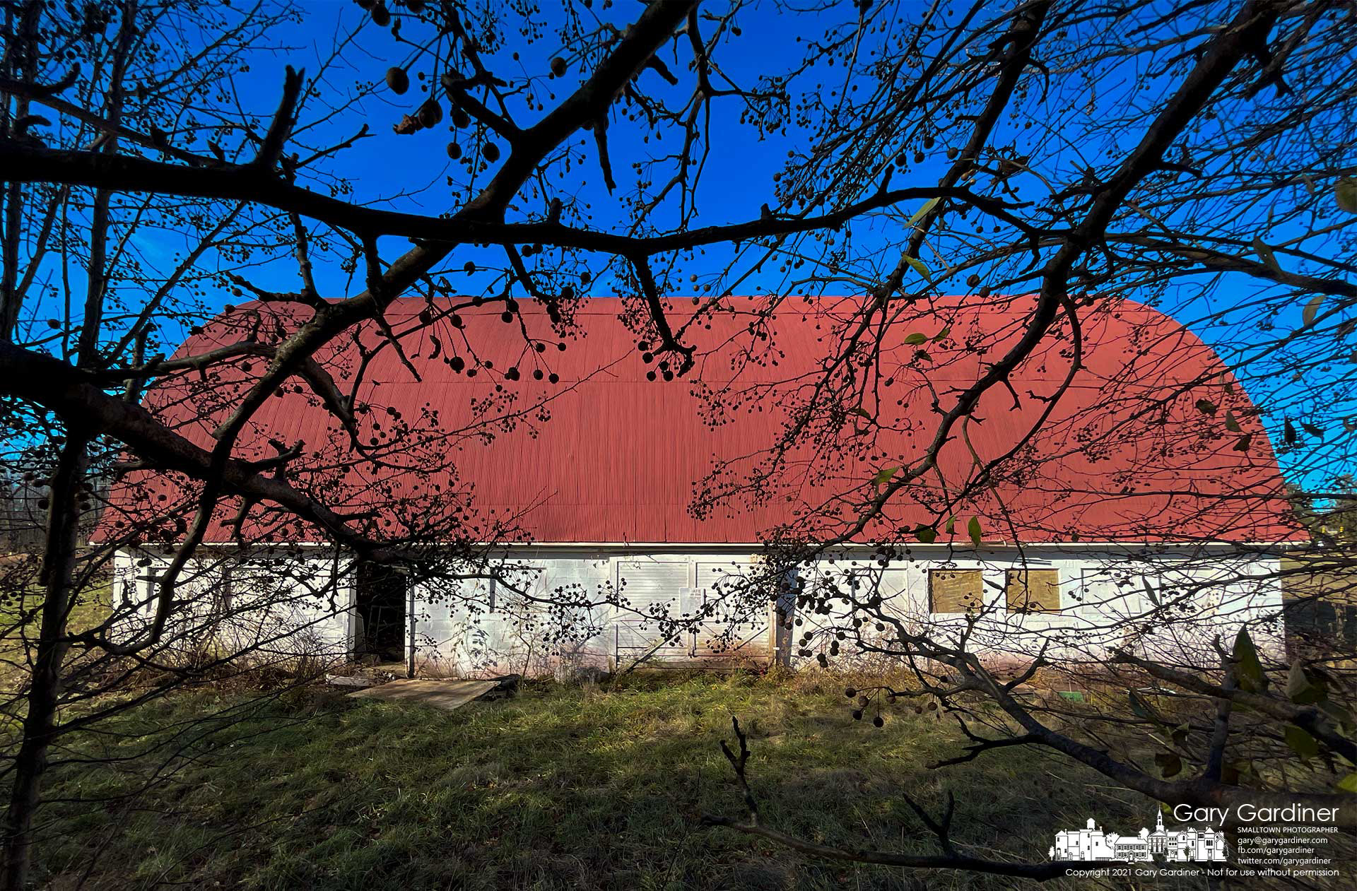 The bare limbs of Bradford Pears, an invasive species, reach across an open area toward the barn at the Braun Farm. My Final Photo for Dec. 13, 2021.