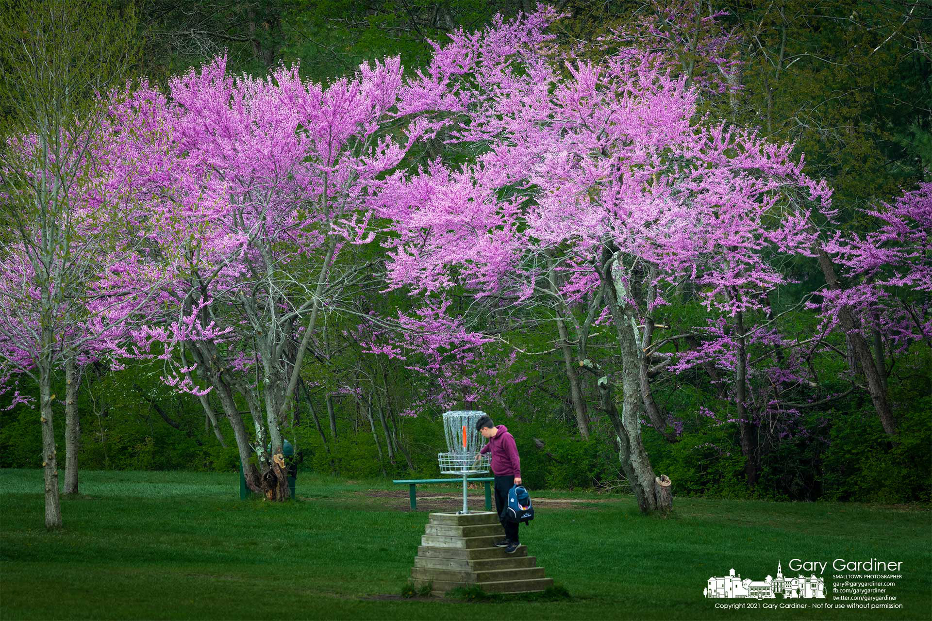 A golfer retrieves his disc from an elevated hole on the disc golf course at Hoover Reservoir. My Final Photo for April 22, 2021.