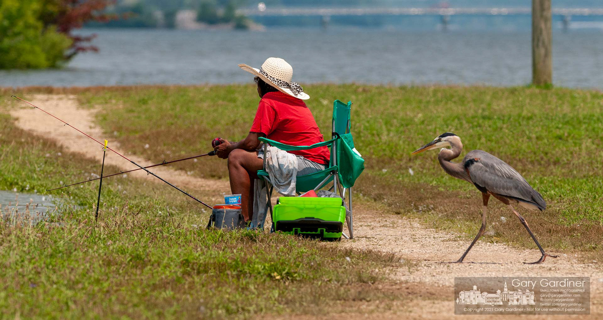 A great blue heron casually walks past a woman fishing on the shoreline of Hoover Reservoir near the dam. My Final Photo for July 15, 2021.