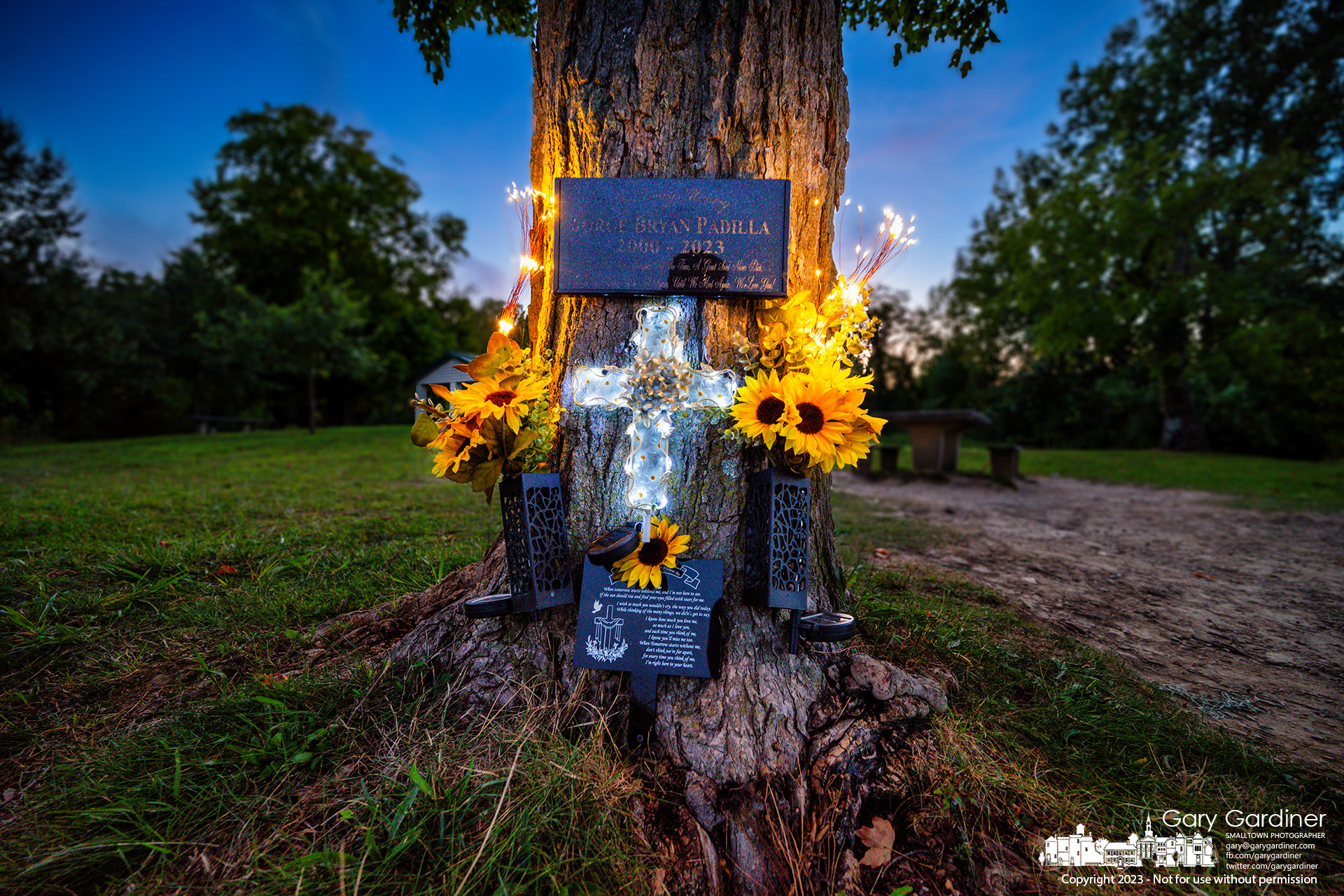 Solar-powered lights illuminate a memorial erected for Jorge Bryan Padilla at the base of a maple tree at the edge of Hoover Reservoir at Red Bank Park. My Final Photo for September 2, 2023. 