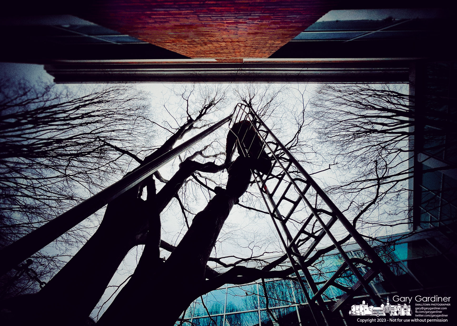 A work crew working under cloudy skies and cold temperatures remove lights from the trees at the entrance to the Westerville Library, another marker of the end of the Christmas season. My Final Photo for January 6, 2023.
