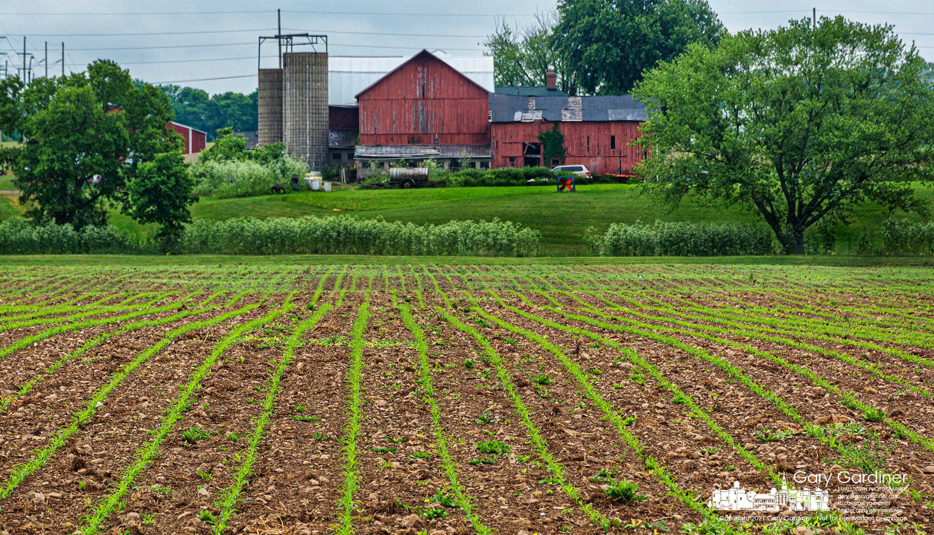 Rows of corn sprouts mark the longest path across the lower field at the Yarnell Farm where moist and warm weather has encouraged growth for the recently planted seeds. My Final Photo for June 2, 2021.