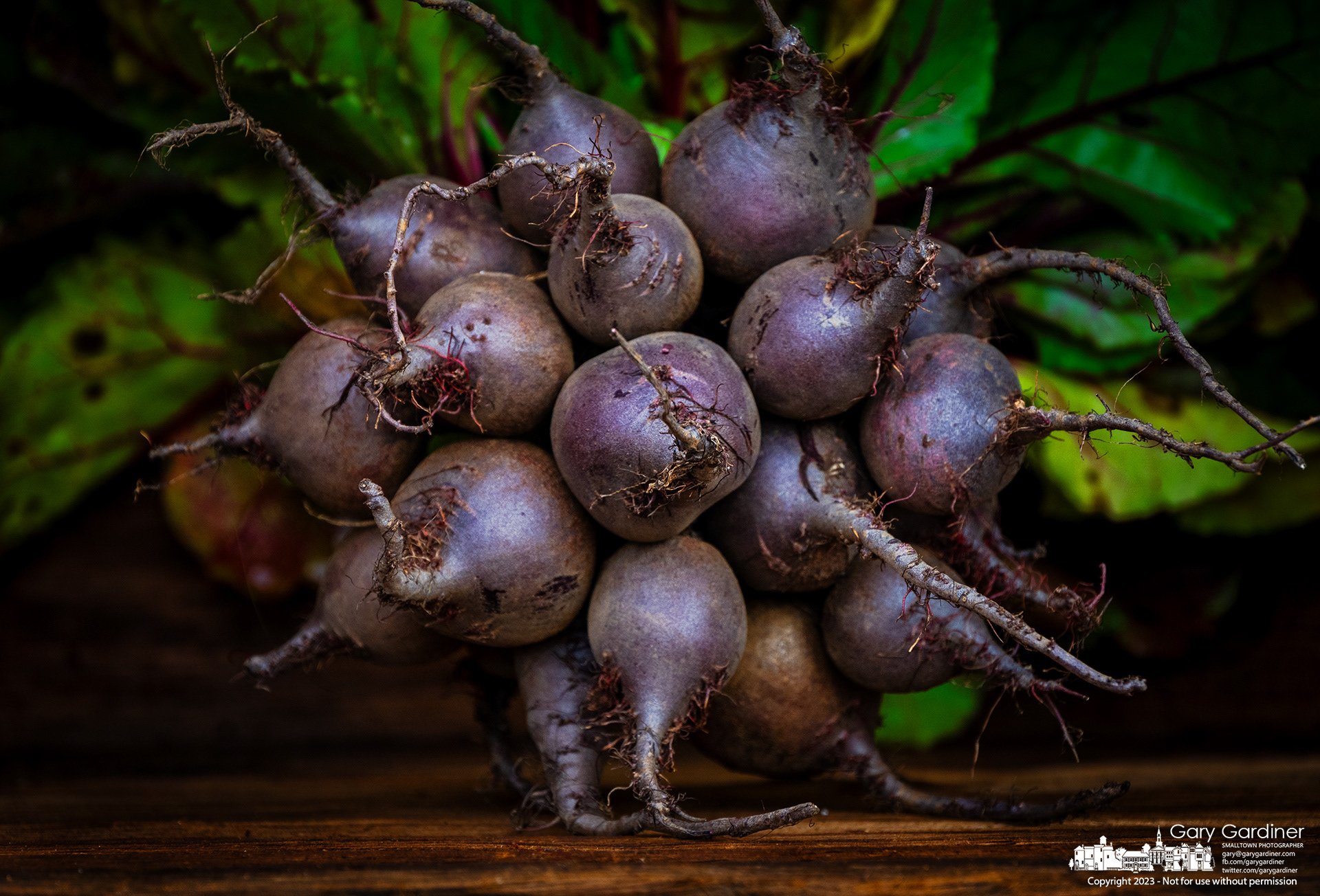A handful of purple beets bound with a rubber band are displayed in a wooden crate at a farmer's stand at the Saturday Market in Uptown Westerville. My Final Photo for July 29, 2023. 