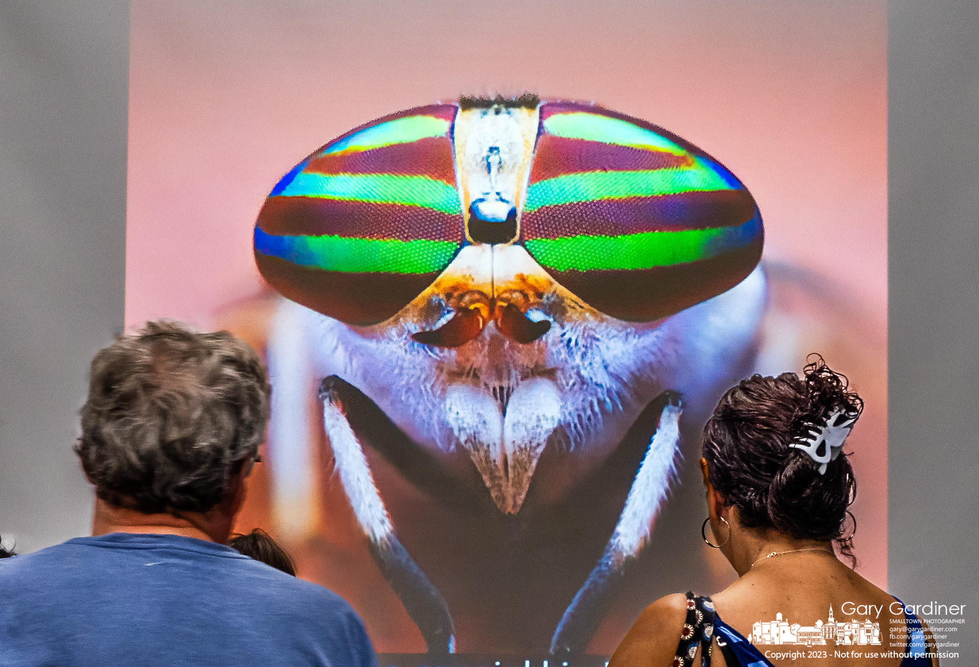 Adults with parental eyes and a giant bug with compound eyes watch over children inspecting and learning about insects in a meeting room at the Westerville Library. My Final Photo for July 24, 2023.