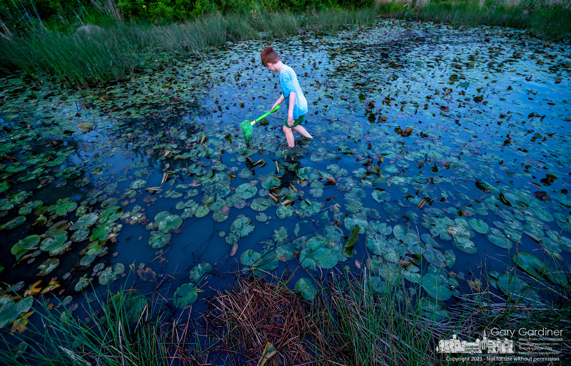 A youngster navigates his way through lily pads, aquatic plants, and mud searching for frogs, tadpoles, fishes, and snakes during Frog Friday at the Highlands wetlands. My Final Photo for May 19, 2023. 