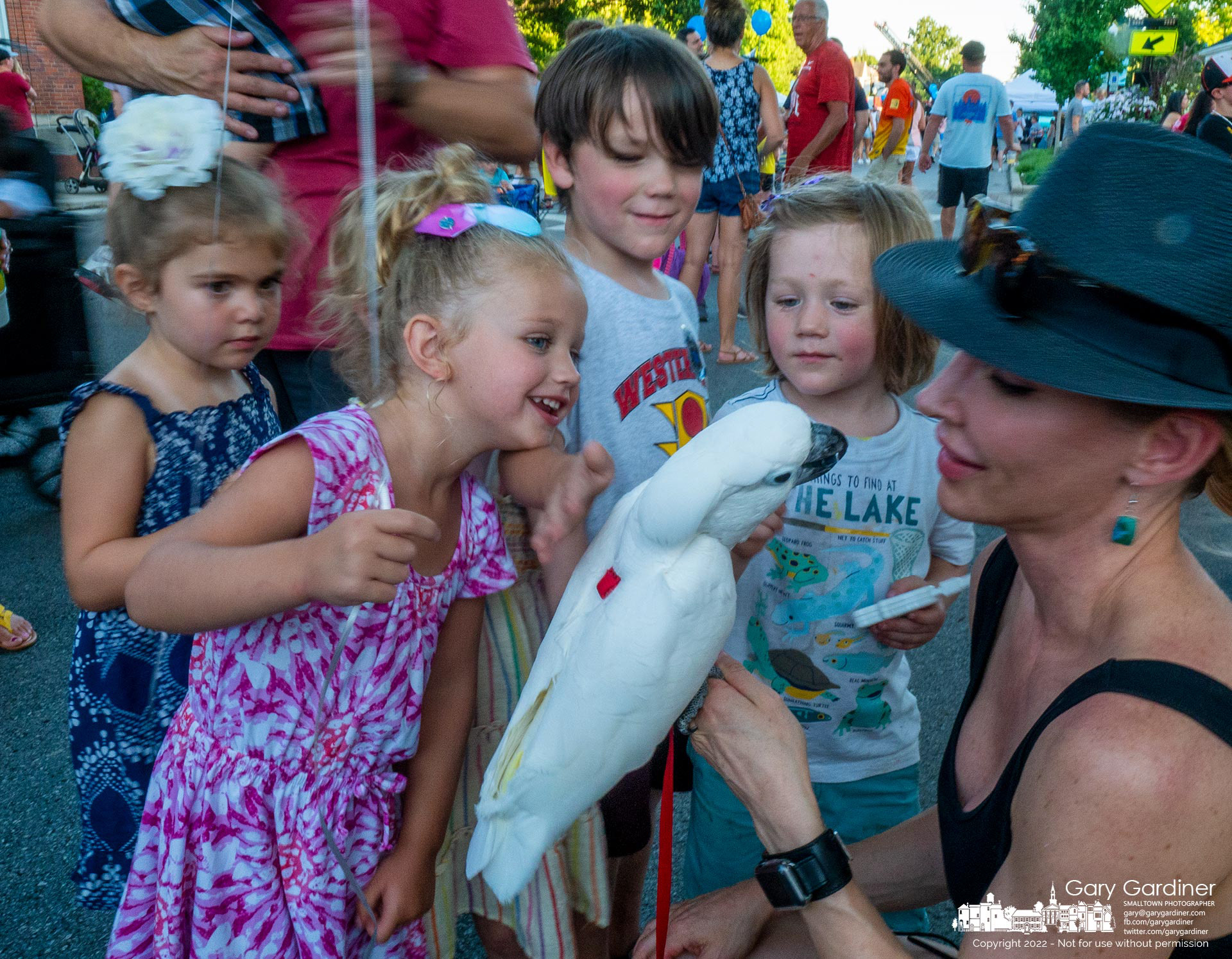 Children gather around a parrot carried by its owner along State Street during Fourth Friday in Uptown Westerville. My Final Photo for July 22, 2022.