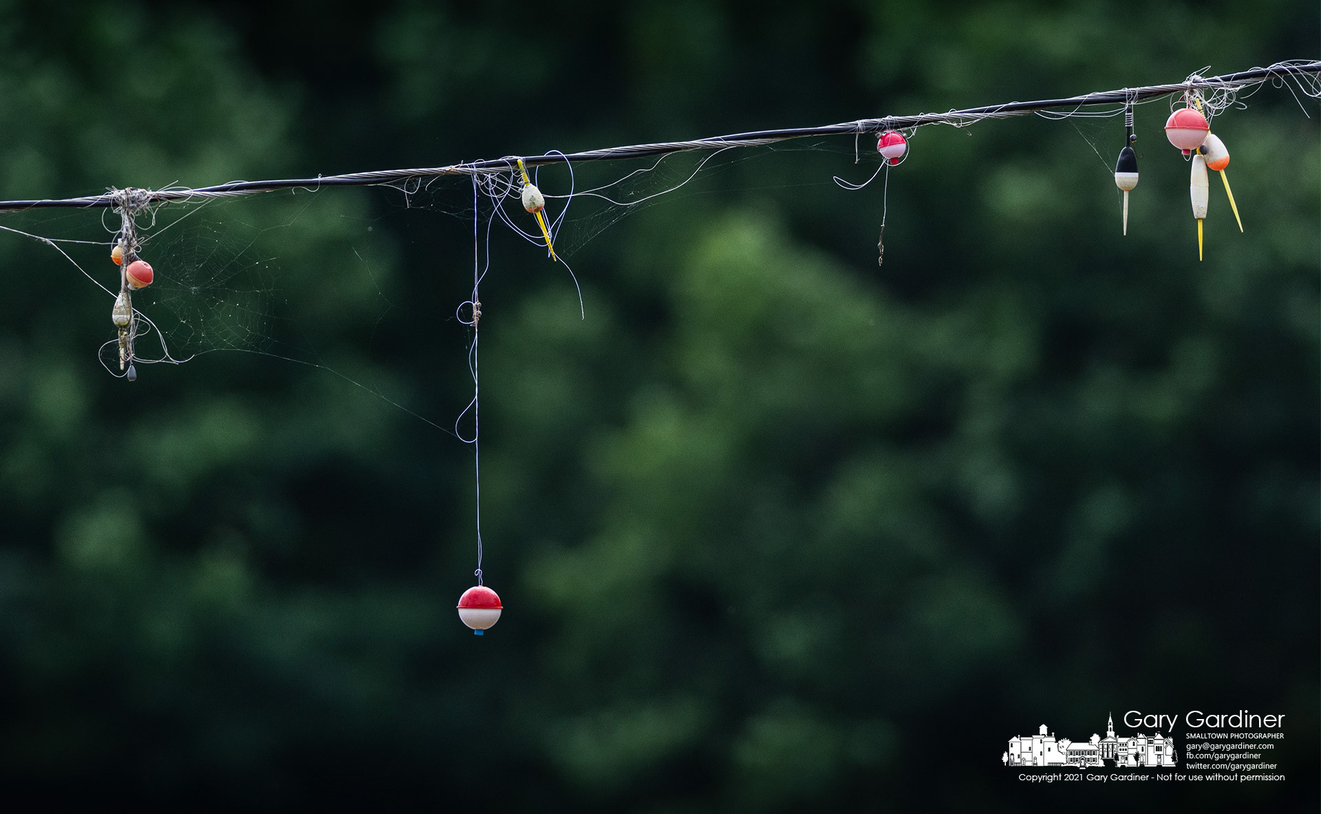 A collection of fishing bobbers, hooks, and lines hangs from an electric line connecting lights near the lake at Twin Bridge Marina on Hoover Reservoir. My Final Photo for Aug. 15, 2021.