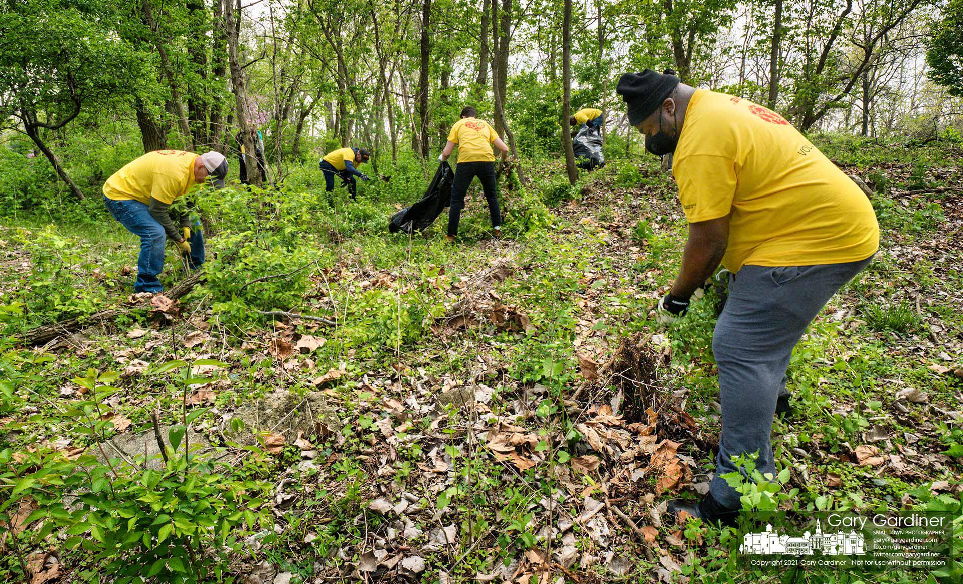 Volunteers from DHL remove invasive species honeysuckle and garlic mustard plants from a wooded section of Heritage Park. My Final Photo for April 23, 2021.