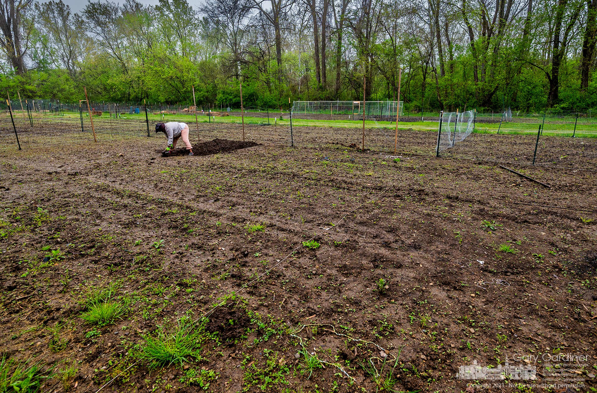A woman uses a hand tool to turn the earth at her plot in the Westerville Community Garden at the end of Hiawatha Street. My Final Photo for May 1, 2023.