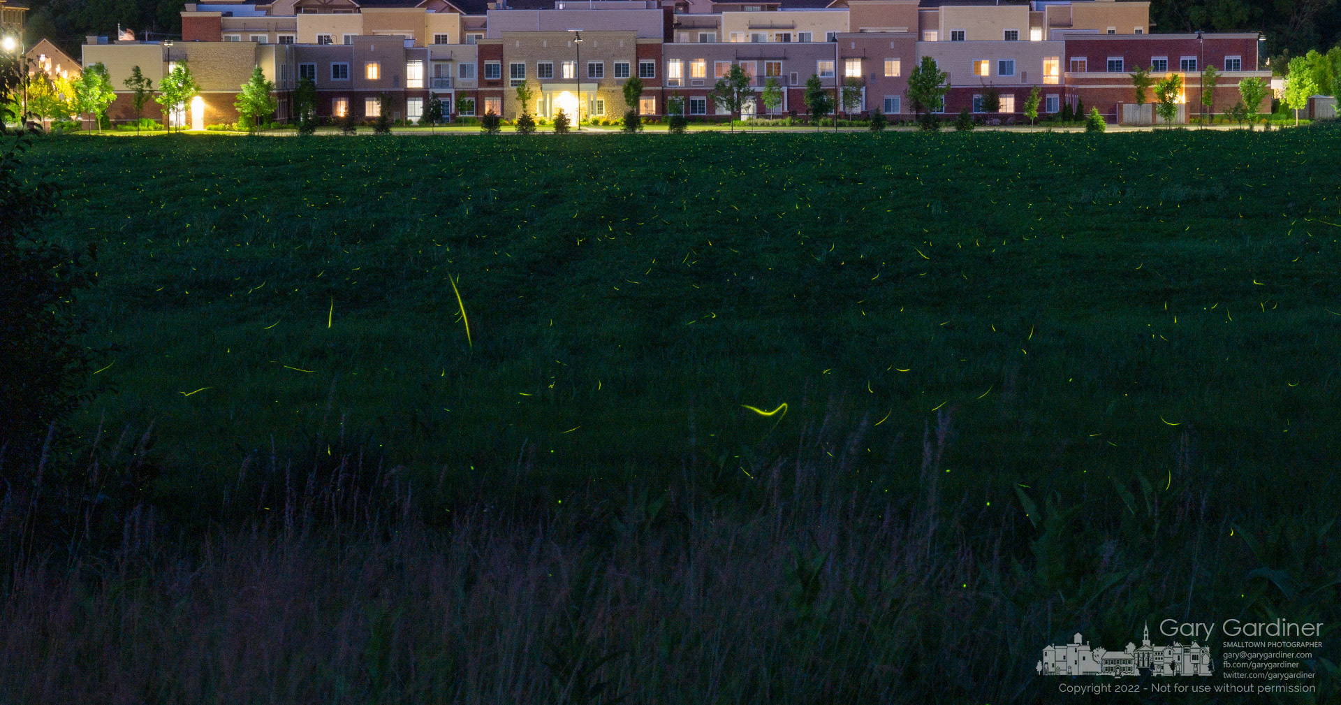Fireflies scatter across the Braun Farm soybean field emitting their bioluminescent glow in hopes of finding a suitable mate to continue providing a light show for their human neighbors. My Final Photo for June 17, 2022.