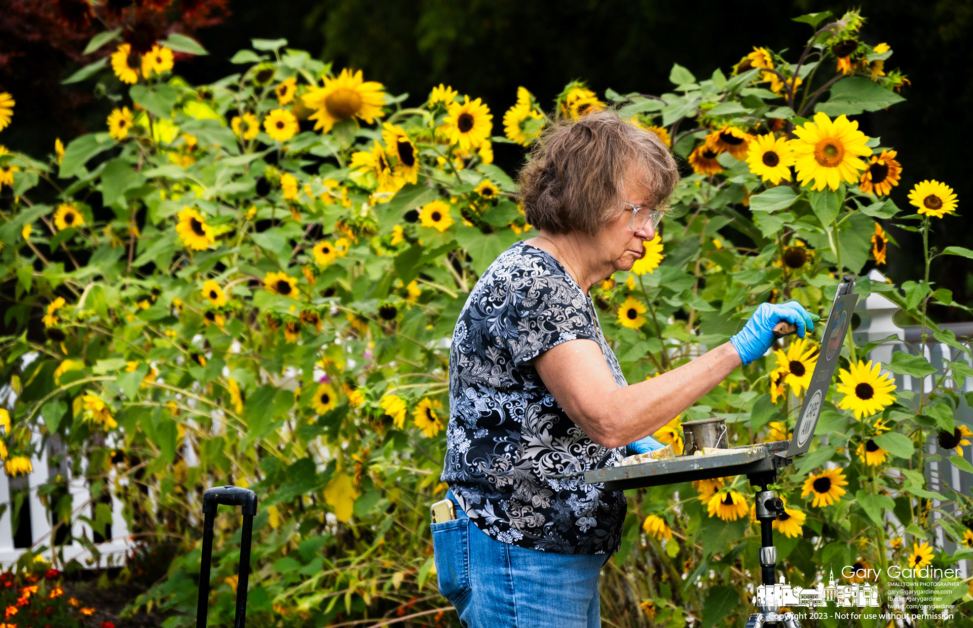 A plein air artist begins her art class lesson with painting sunflowers along the fence at the edge of Heritage Park in Westerville. My Final Photo for September 13, 2023. https://bit.ly/3sQB6Km