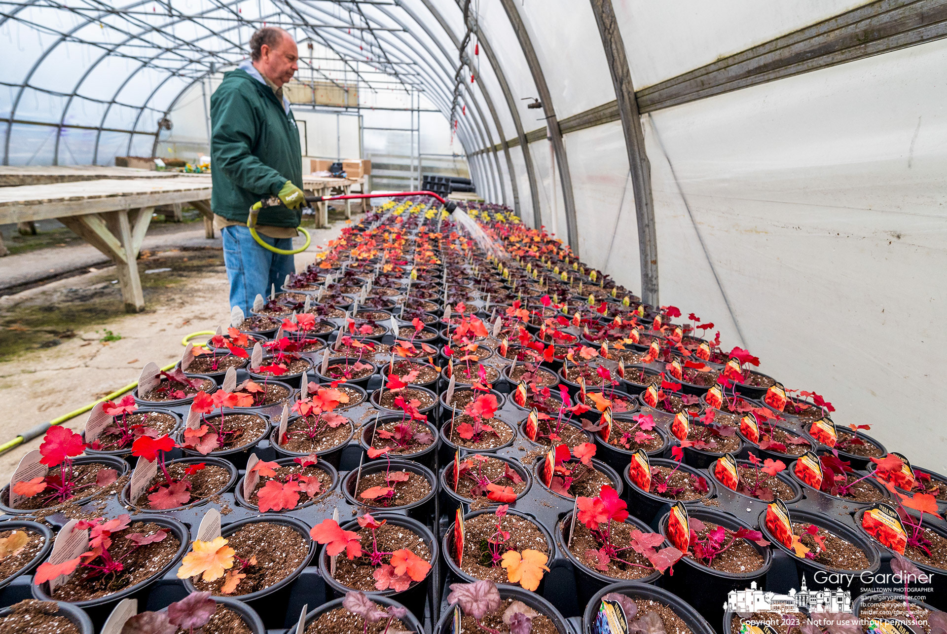 Seedlings at Hoover Gardens are sprayed as one of the first steps to get the newly planted spring flowers ready for sale when the days get longer and the weather gets warmer. My Final Photo for March 10, 2023.