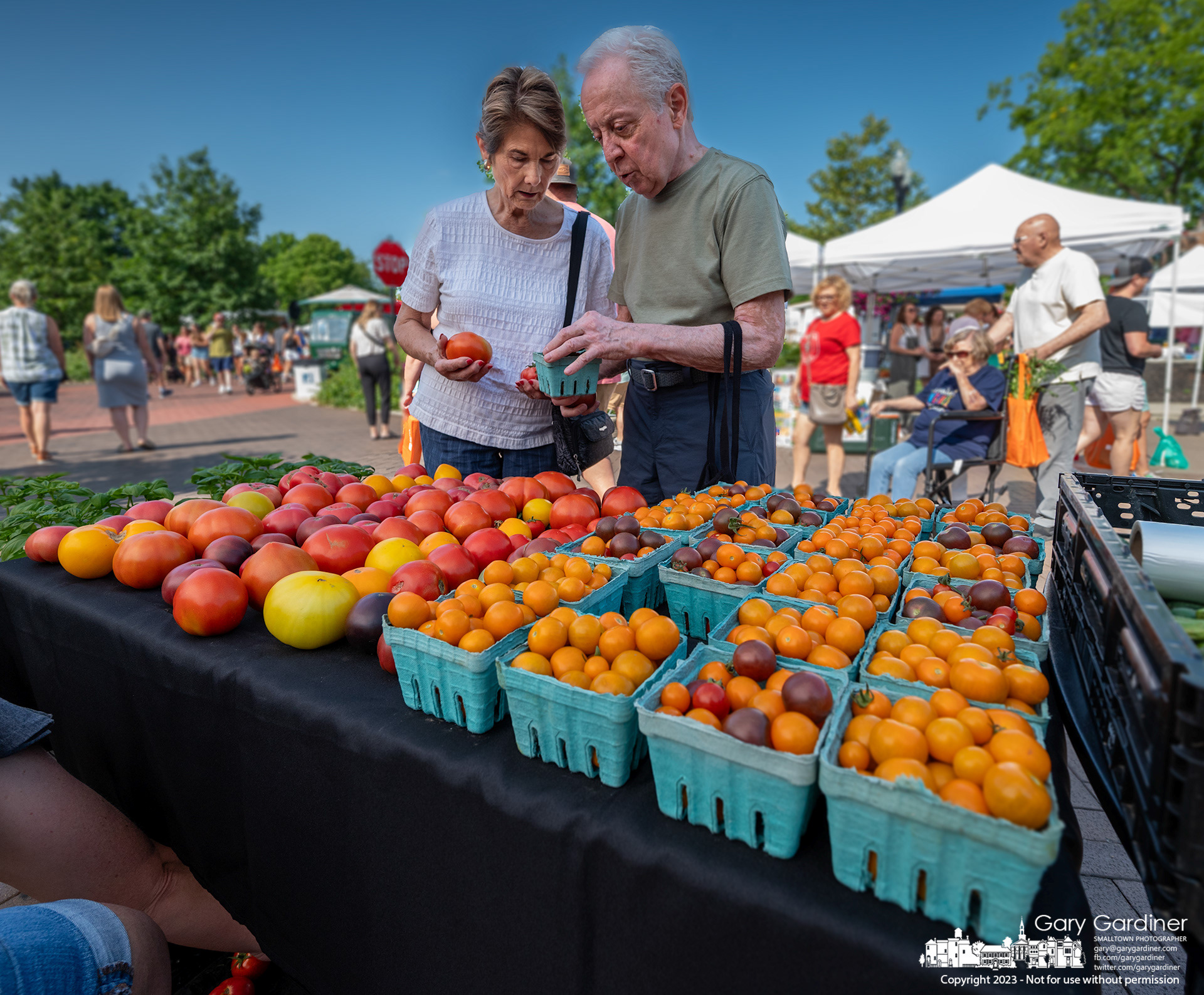 A couple compares their choices of tomatoes from a produce farm at the Saturday Market in Uptown Westerville. My Final Photo for July 22, 2023. 