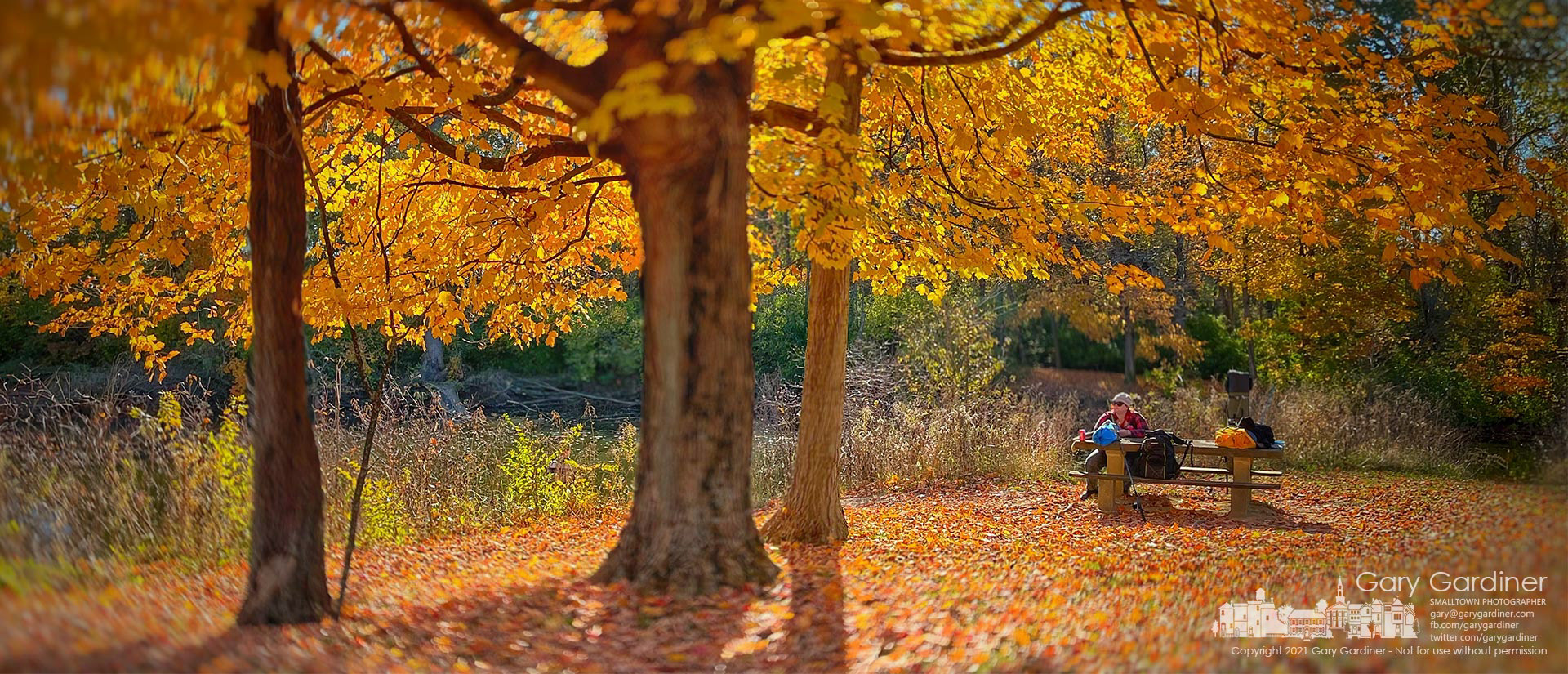 A woman sits at one of the picnic tables at Red Bank Park enjoying the cool afternoon and warm sun while her companion fishes in the small inlet. My Final Photo for Nov. 7, 2021.