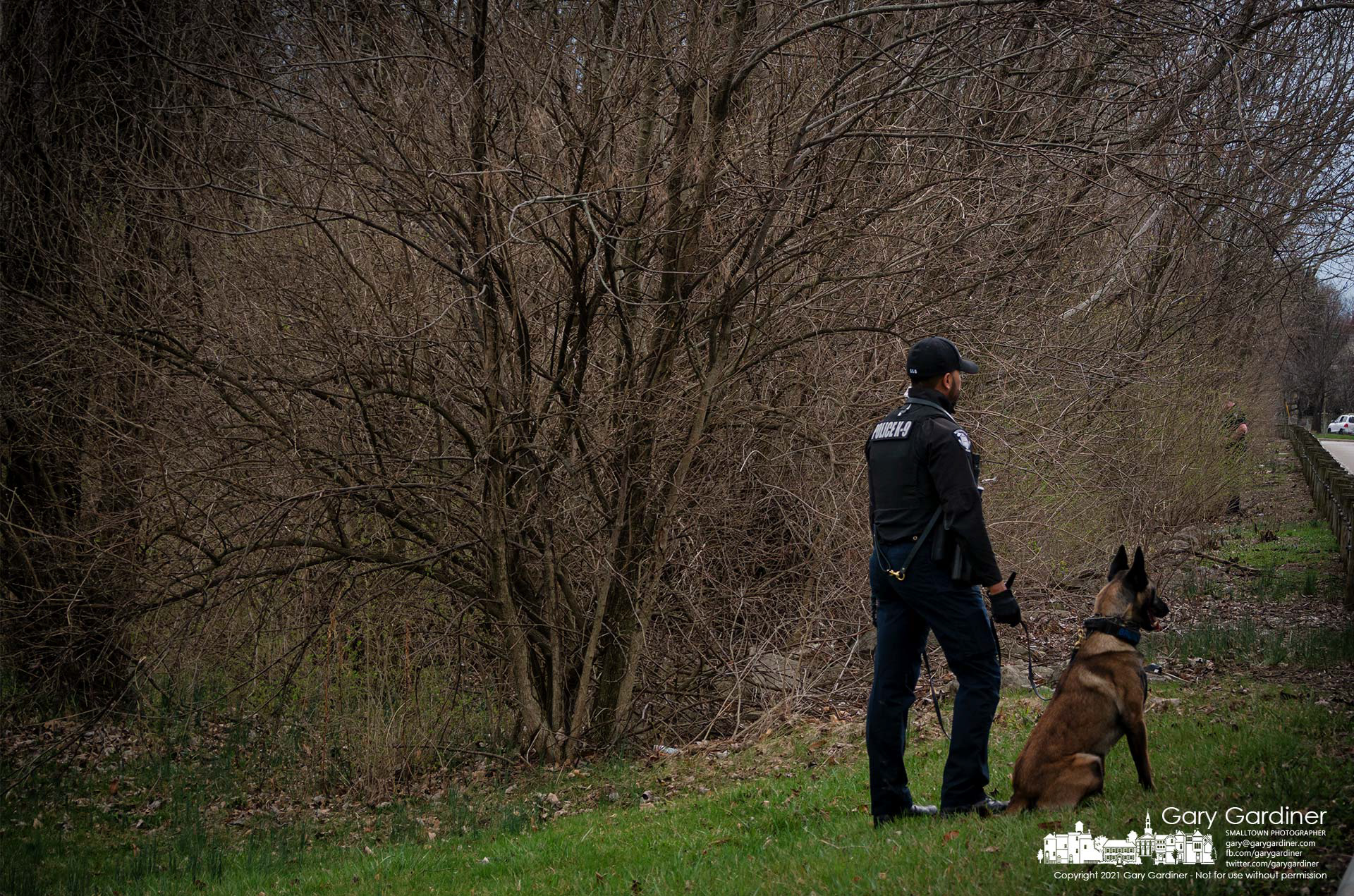 Westerville Police K-9 Officer Khyrell Baggoo and Bruno briefly stand along Sunbury Road watching a second officer search for a missing man in the woods along the shoreline of Hoover Reservoir. My Final Photo for March 25, 2021.