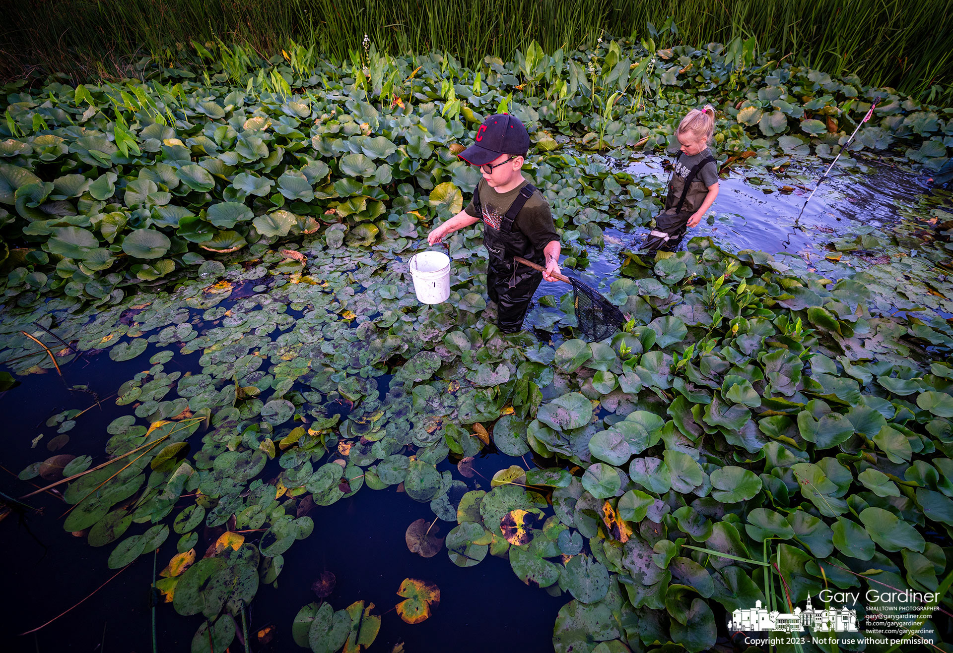 A pair of frog hunters wearing waders trek through the lily pad-covered waters of the wetlands at Highlands Park in search of their amphibian prey on the last Frog Friday of the year. My Final Photo for July 21, 2023. 