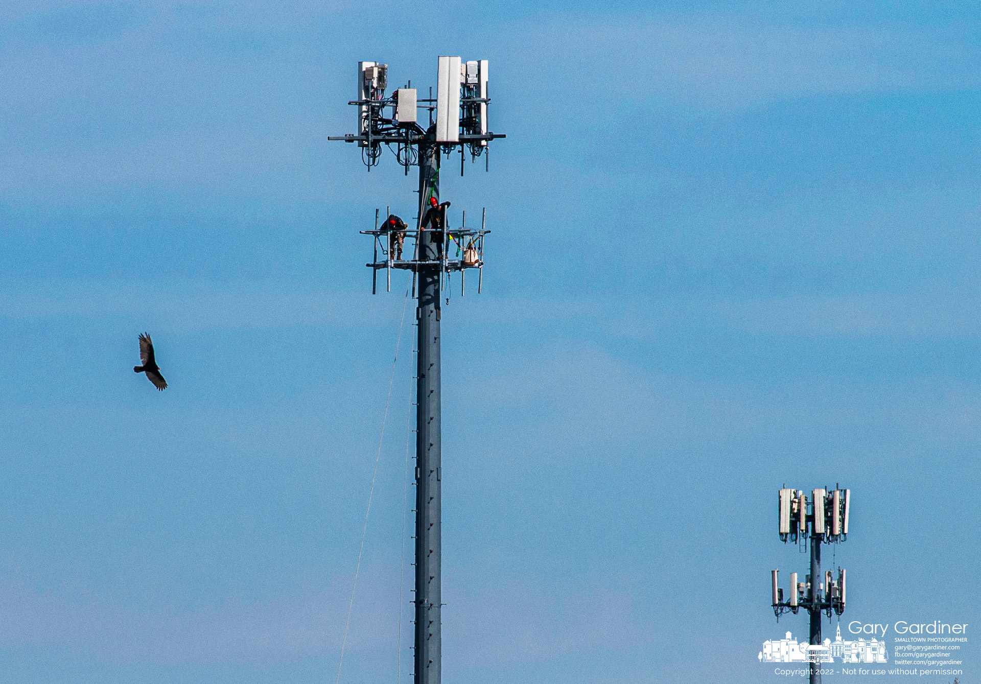 A buzzard circles near where a work crew is installing cellular antennas on a new platform on the cellular tower adjacent to The Point at Otterbein University. My Final Photo for Feb. 21, 2022.