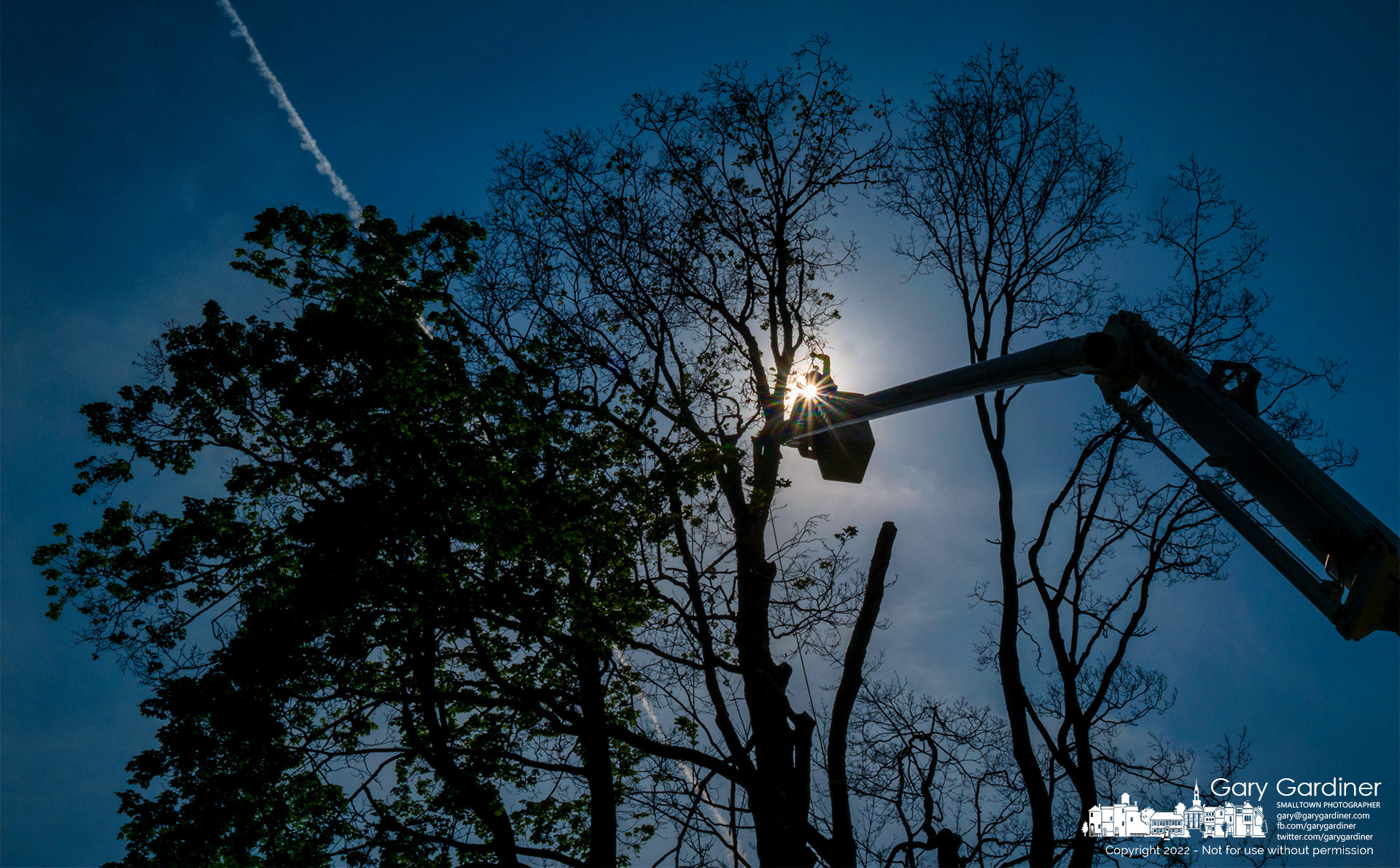 A city work crew removes a damaged and dying tree from the right-of-way on West Plum Street to keep it from falling into the street or onto nearby power lines. My Final Photo for May 24, 2022.