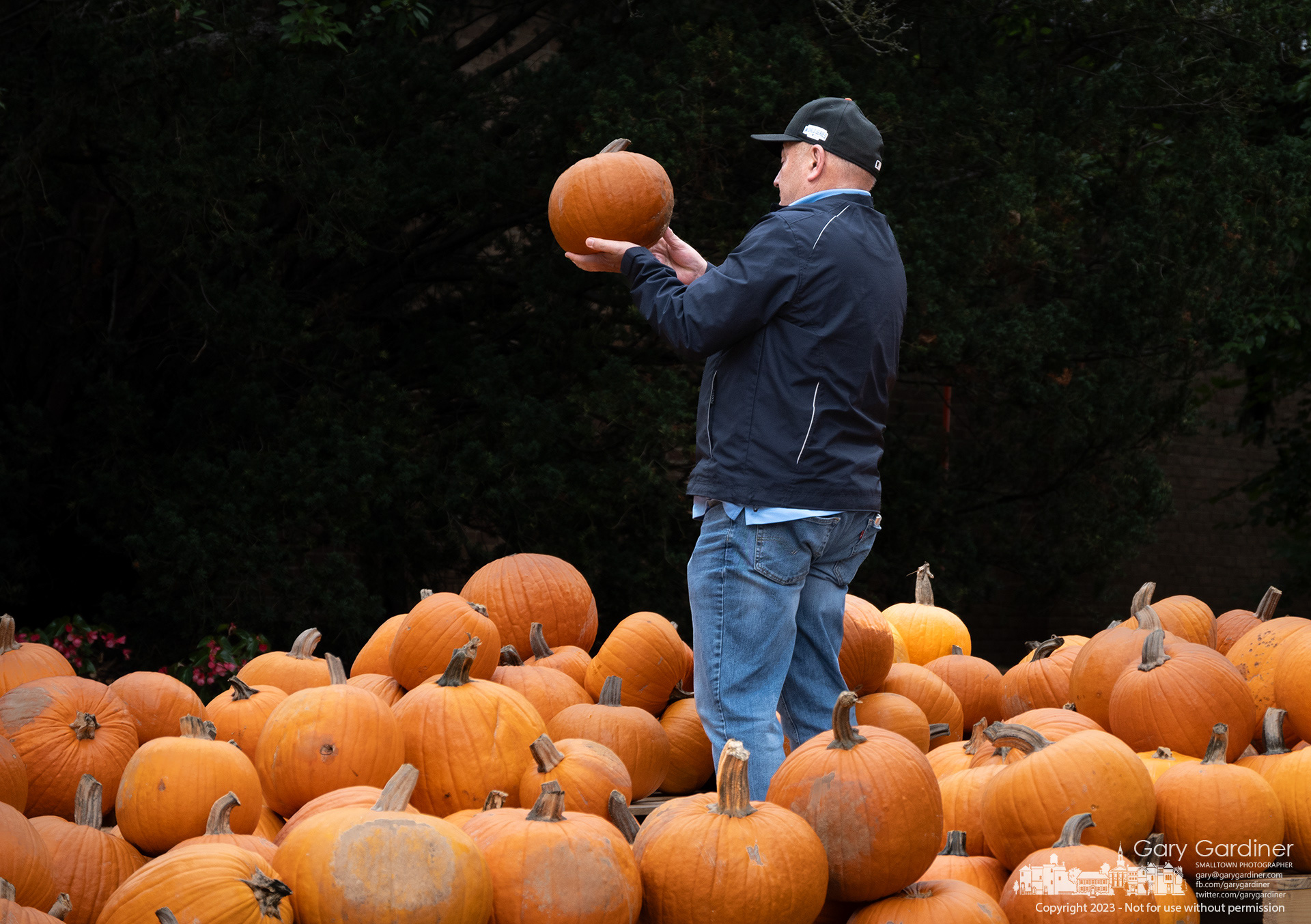 A customer lifts a pumpkin as he studies the selection of sizes and shapes of available pumpkins at the Boy Scout Troop 84 Pumpkin Patch in front of the Masonic Hall in Uptown. My Final Photo for October 15, 2023. https://bit.ly/3FpkxYN