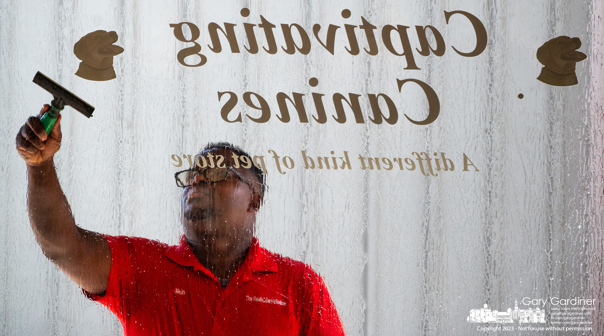 Micah Crockett scrapes Captivating Canines lettering from the front windows of the closed store as it prepares to become an addition to Cardinal Pizza. My Final Photo for August 24, 2023. 