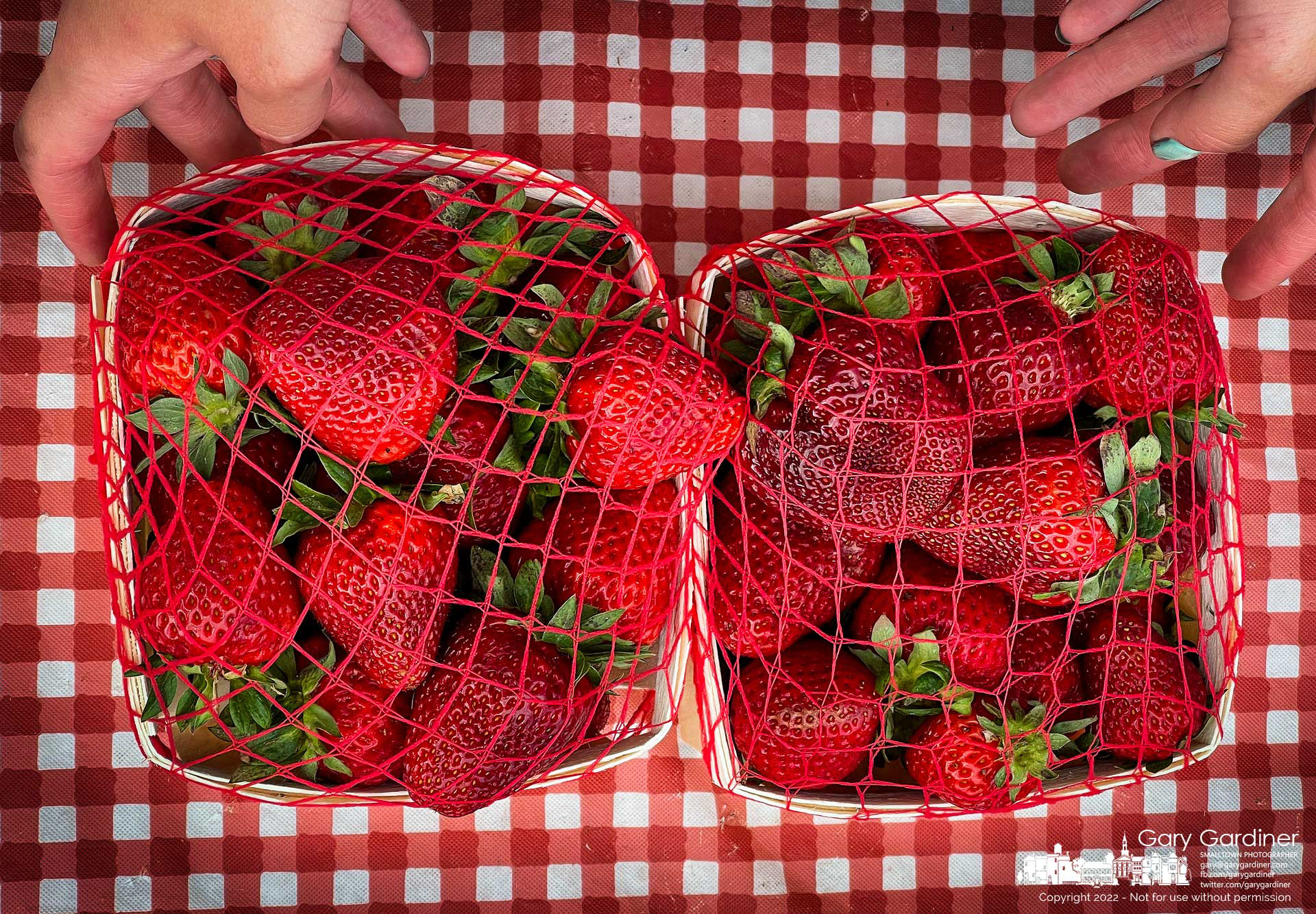 A vendor wraps two containers of strawberries with an elastic mess to keep them from falling out of their containers as a customer at the Uptown Saturday Farmer's Market opened its season Saturday morning. My Final Photo for May 21, 2022.